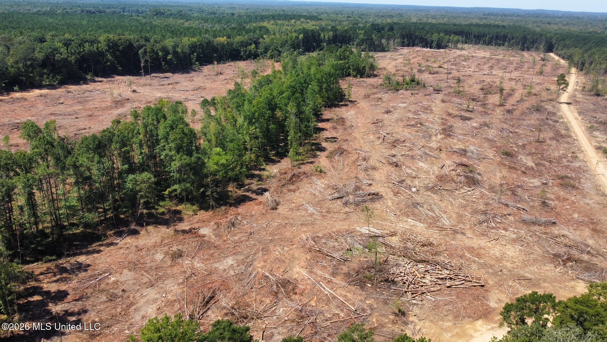 6 Cut Off Road Property Photo 1