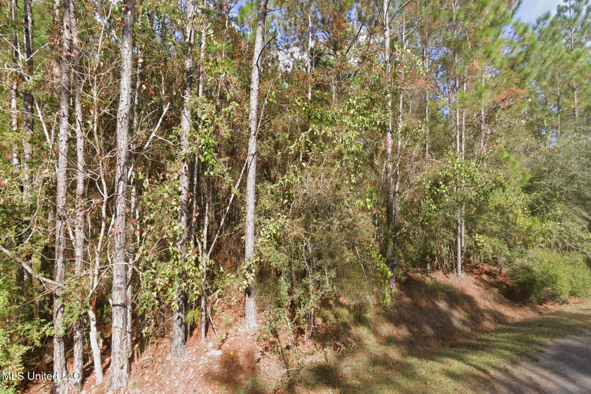 Cedar Drive Property Photo 1