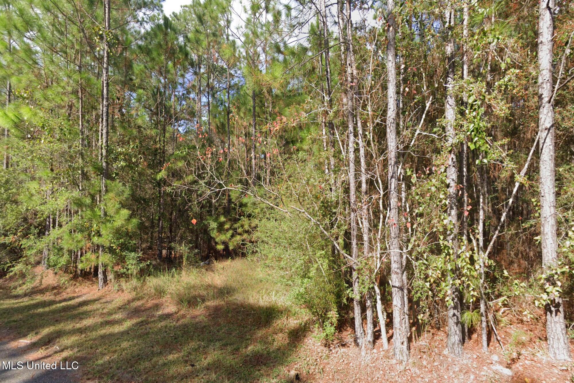Cedar Drive Property Photo 2