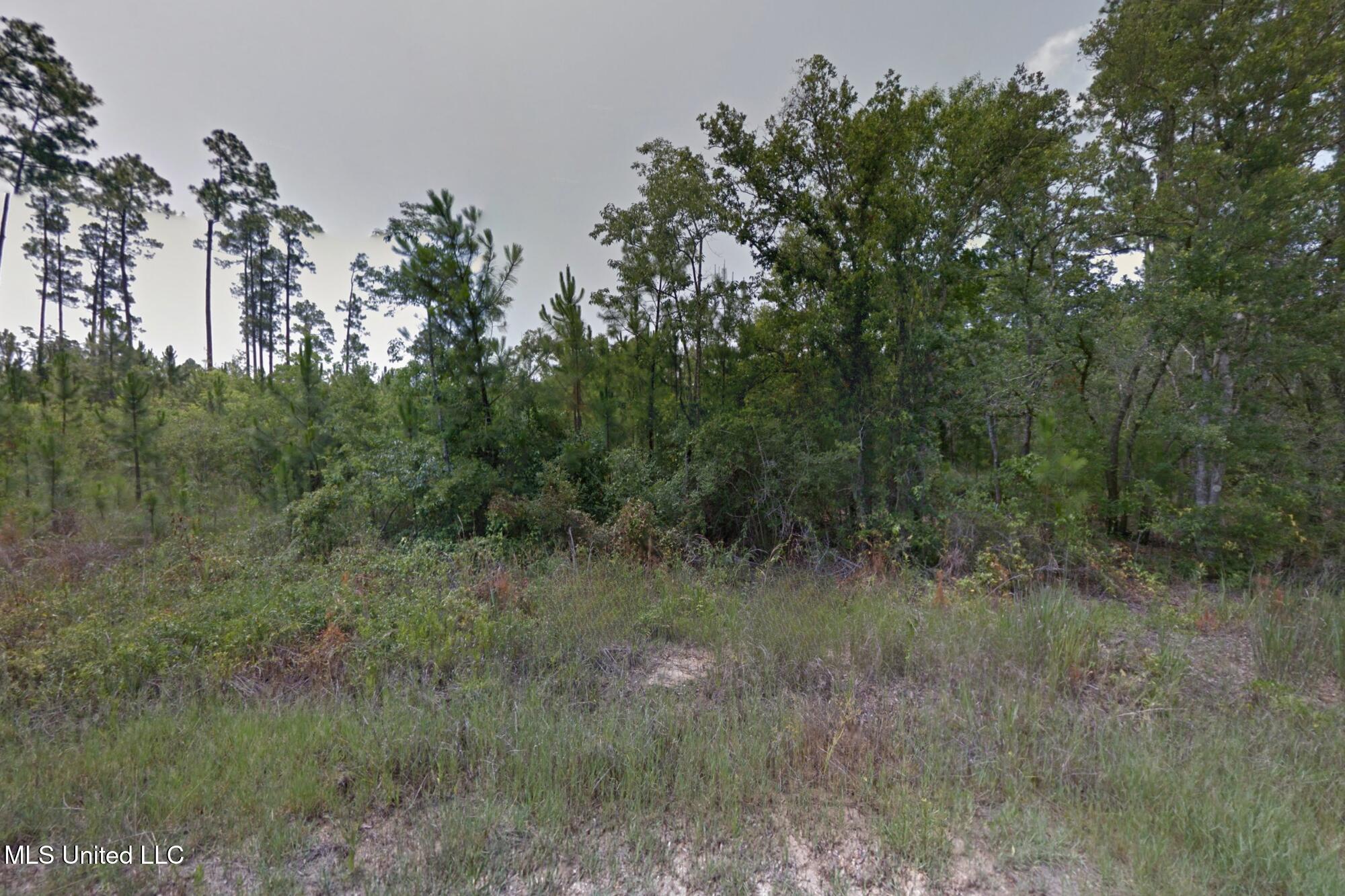 Cedar Drive Property Photo 4