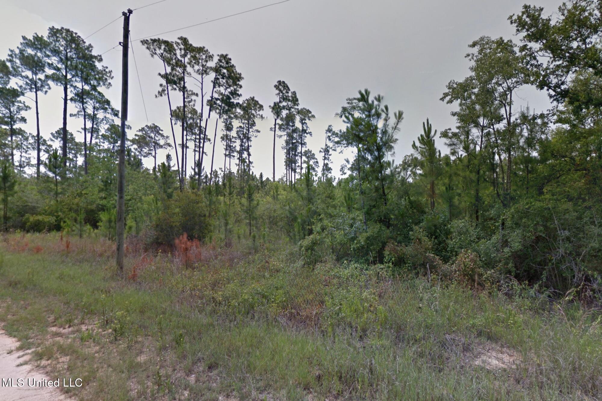 Cedar Drive Property Photo 6