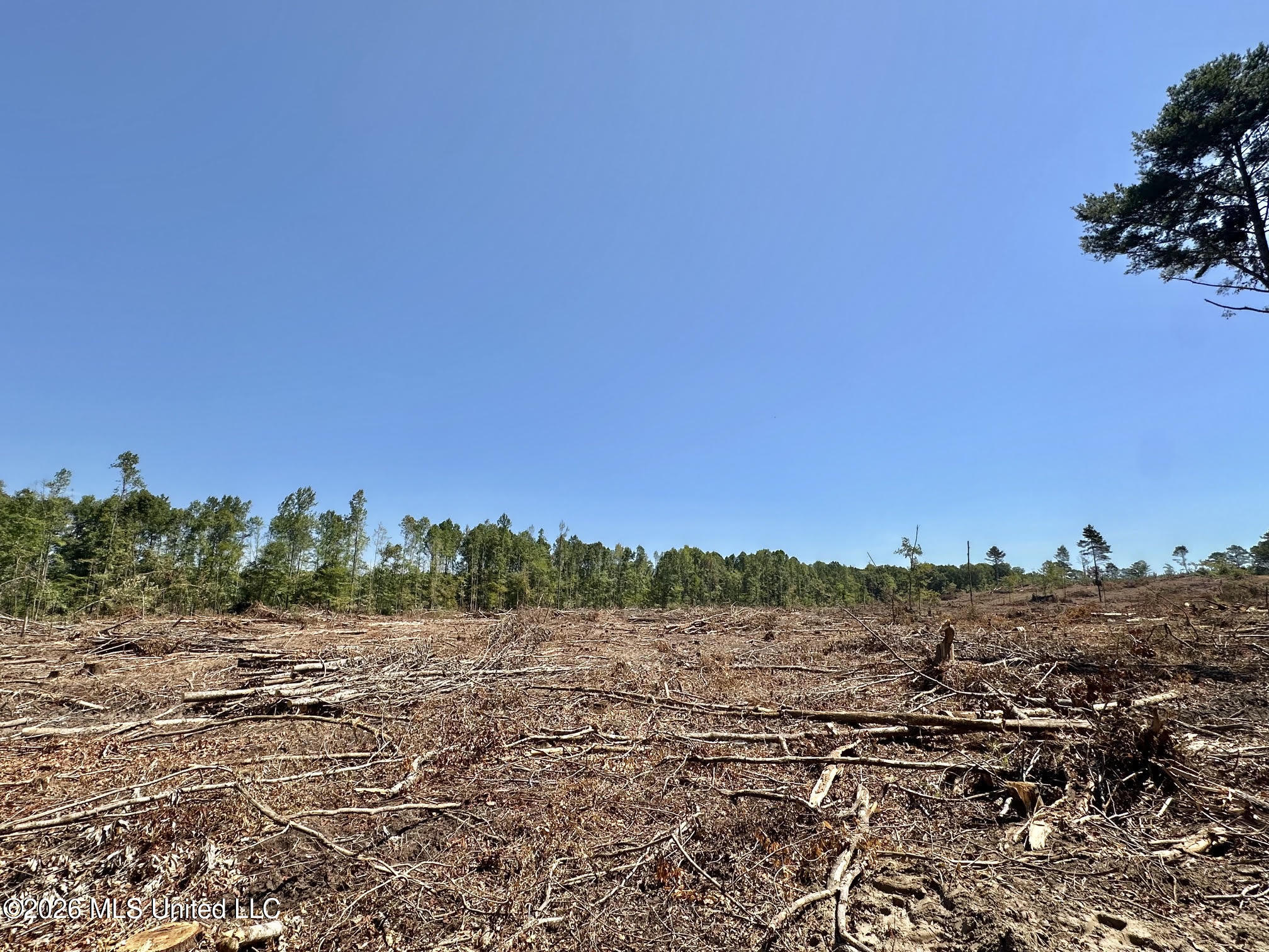 7 Cut Off Road Property Photo 1