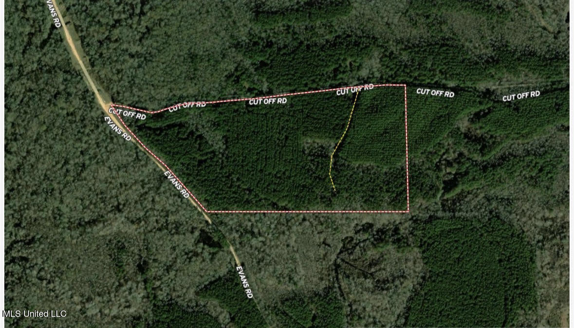 7 Cut Off Road Property Photo 2