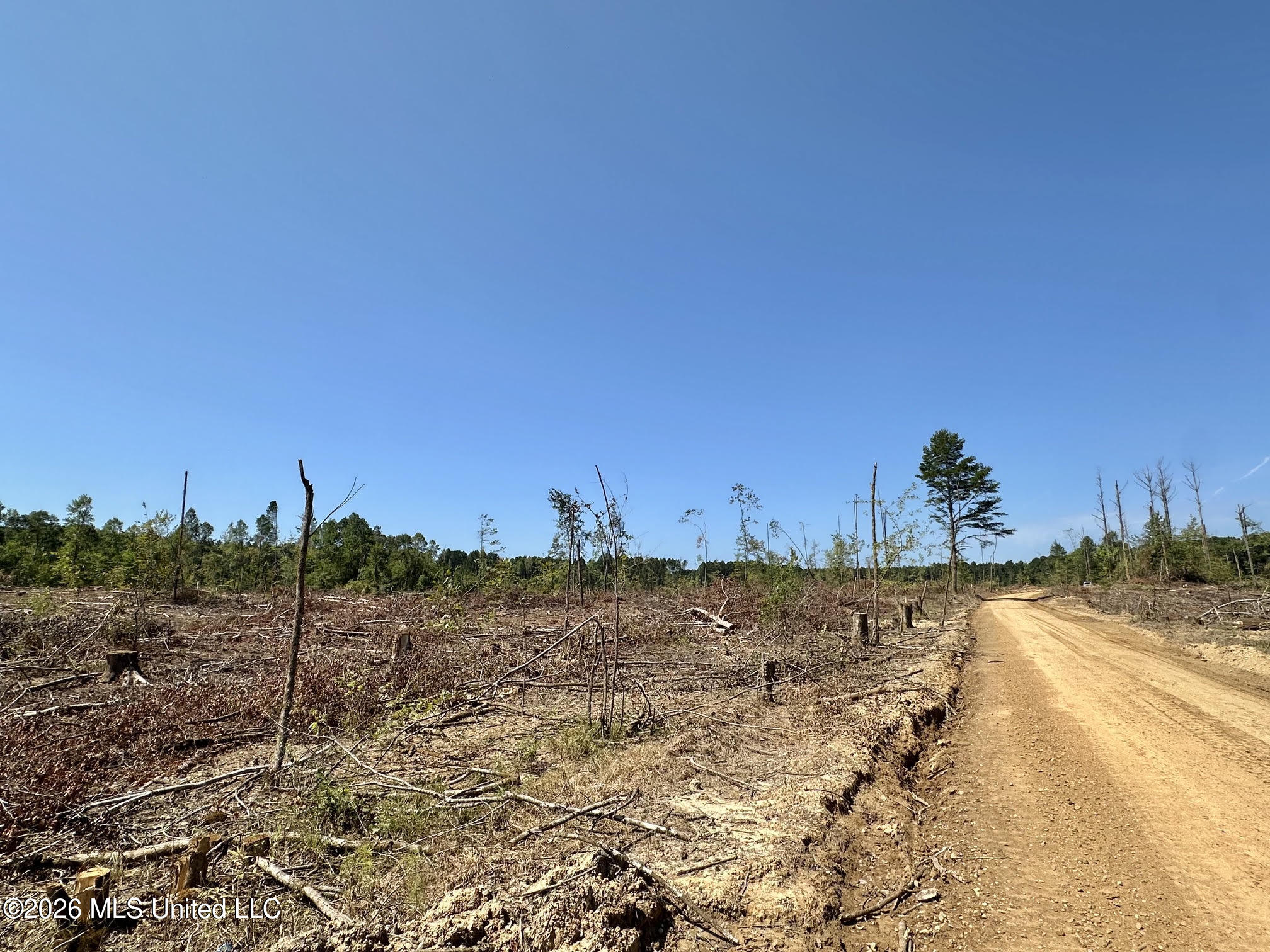 7 Cut Off Road Property Photo 5