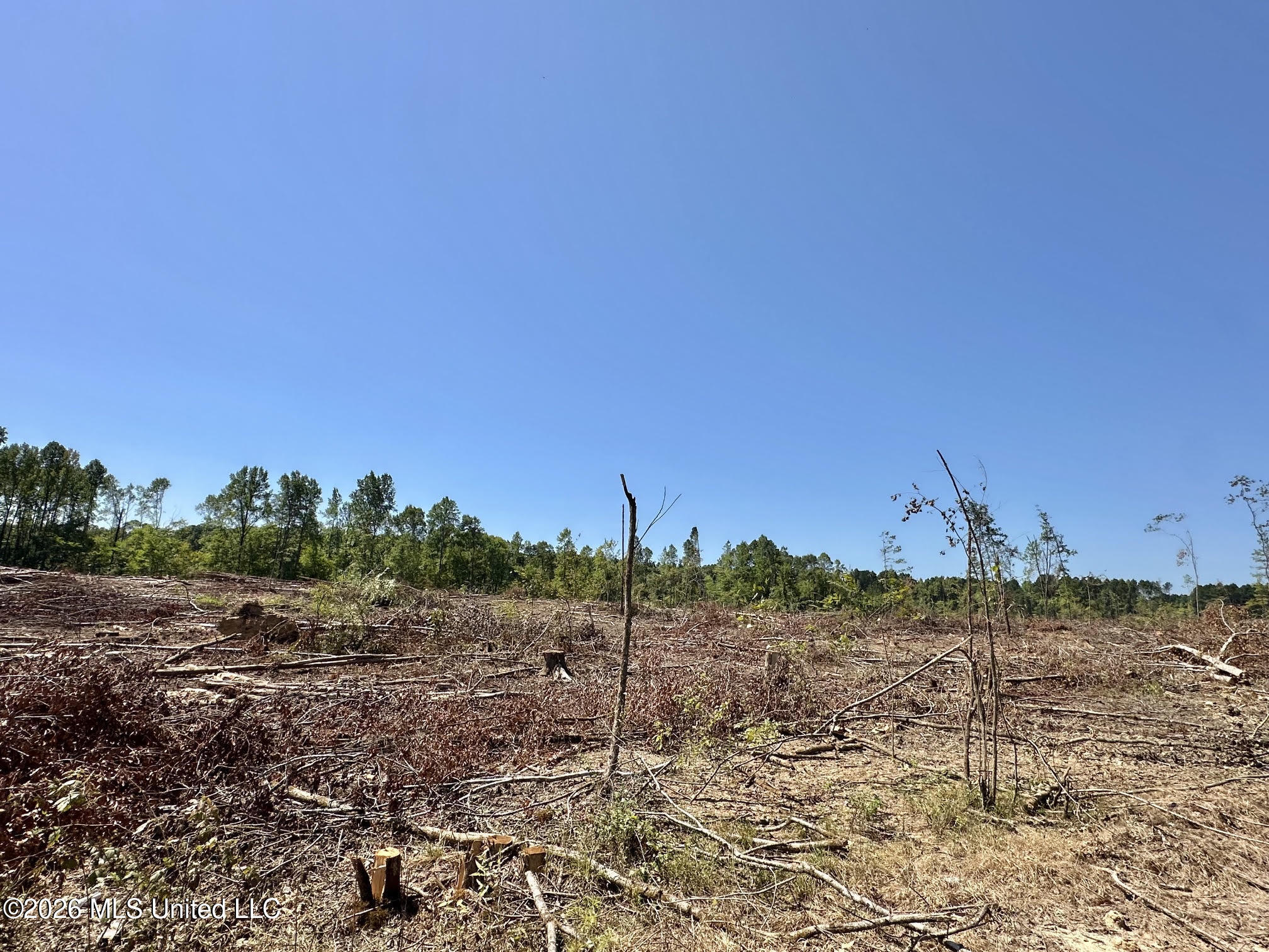 7 Cut Off Road Property Photo 6