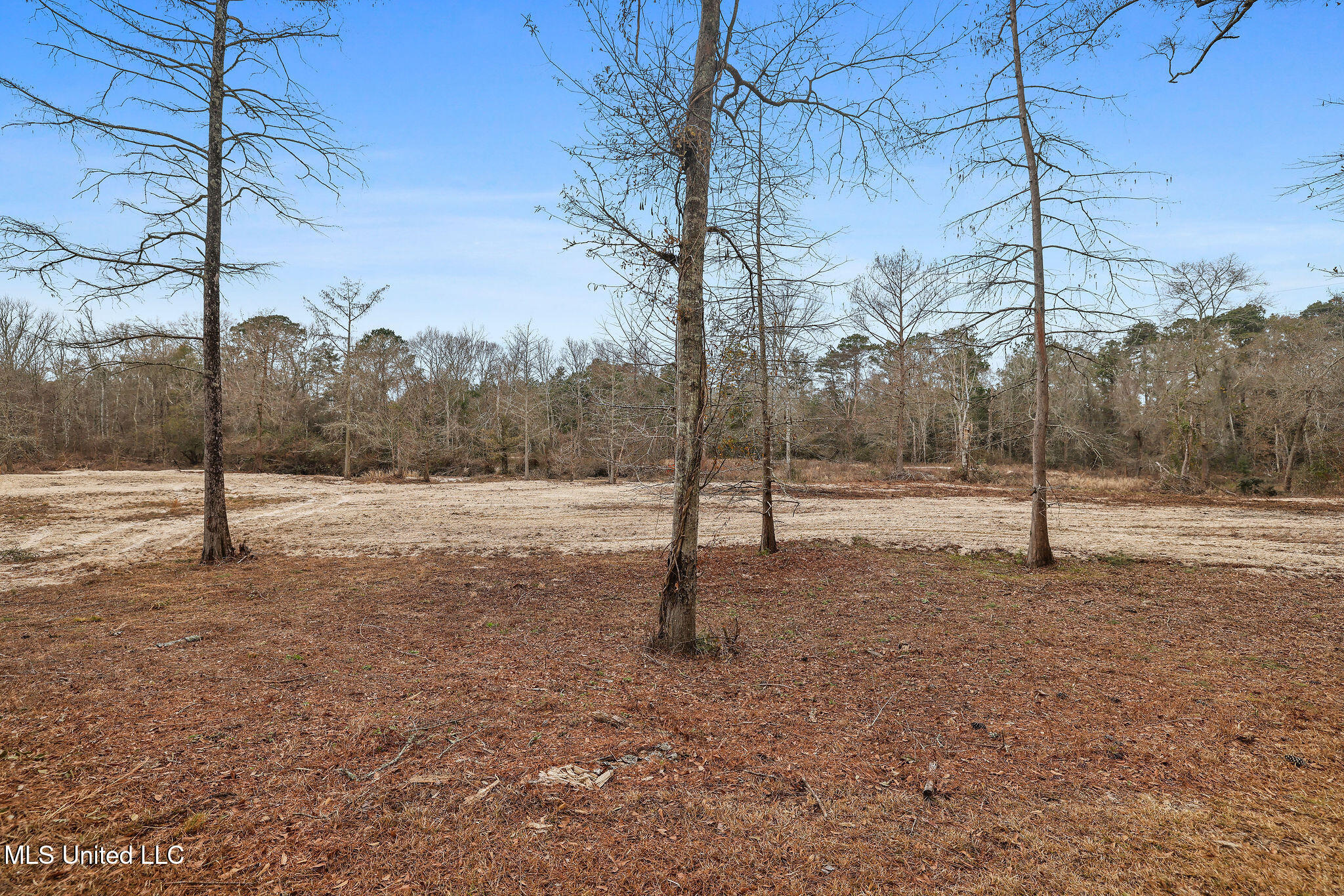 19321 Louisiana 16 Property Photo 16