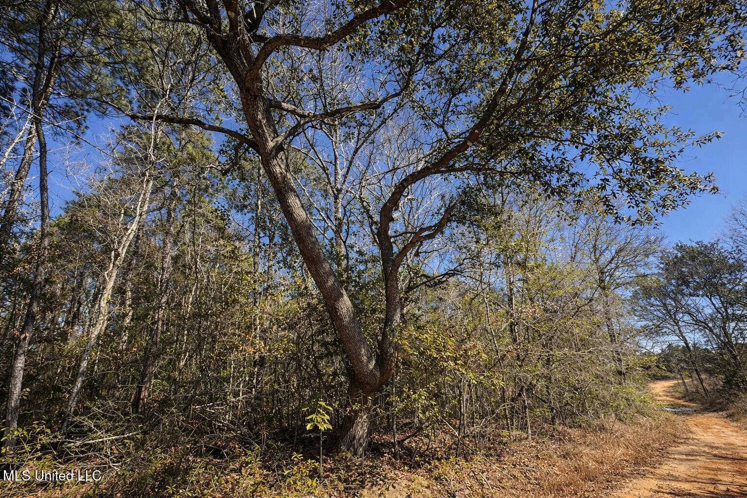 4 Standard Cemetery Road Property Photo 3