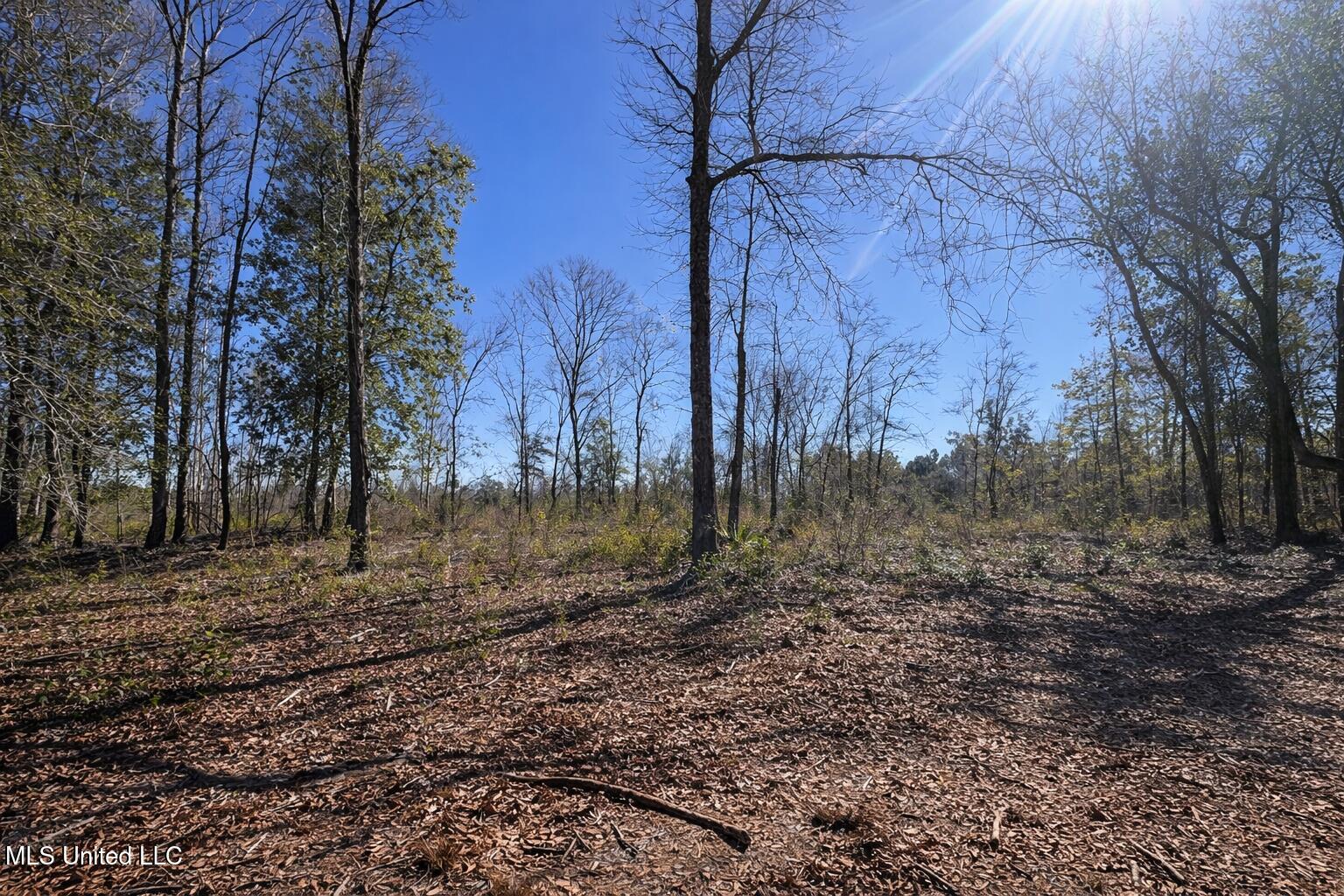 4 Standard Cemetery Road Property Photo 4