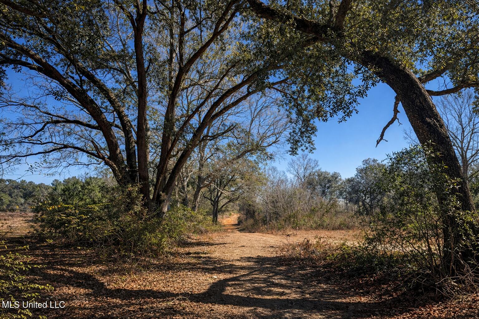 5 Standard Cemetery Road Property Photo 2
