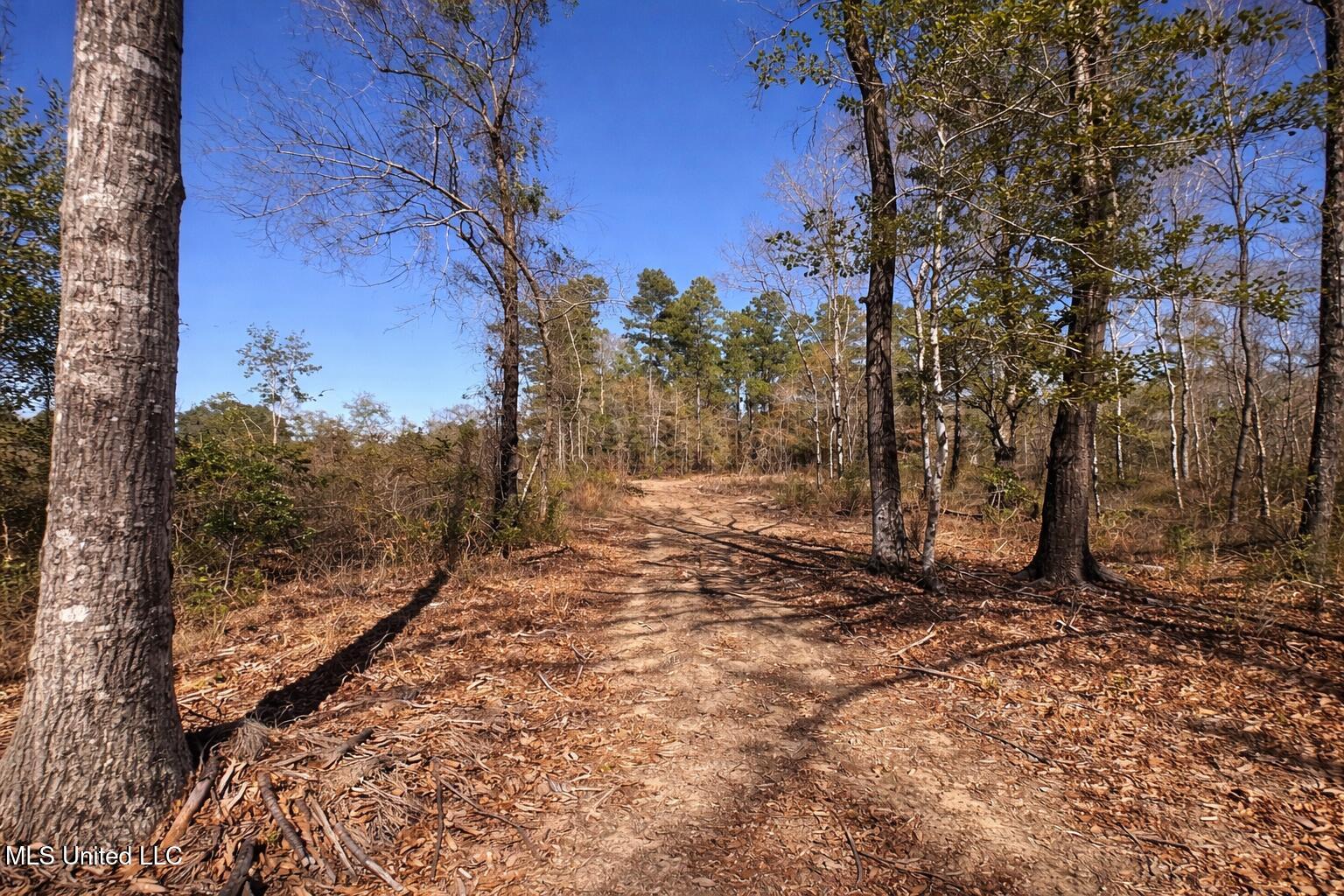 5 Standard Cemetery Road Property Photo 6