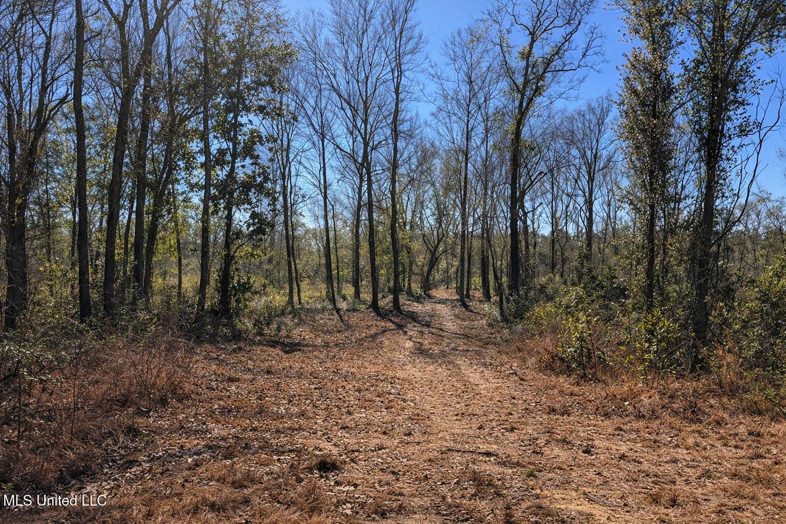 5 Standard Cemetery Road Property Photo 7