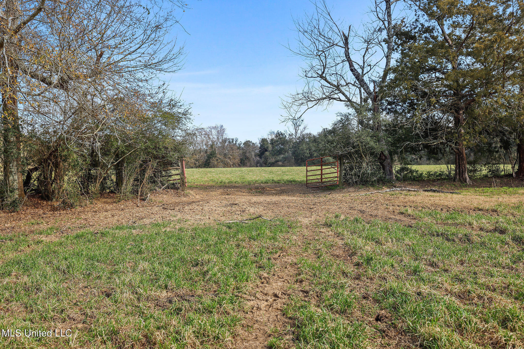 255 J P Thomas Road Property Photo 2