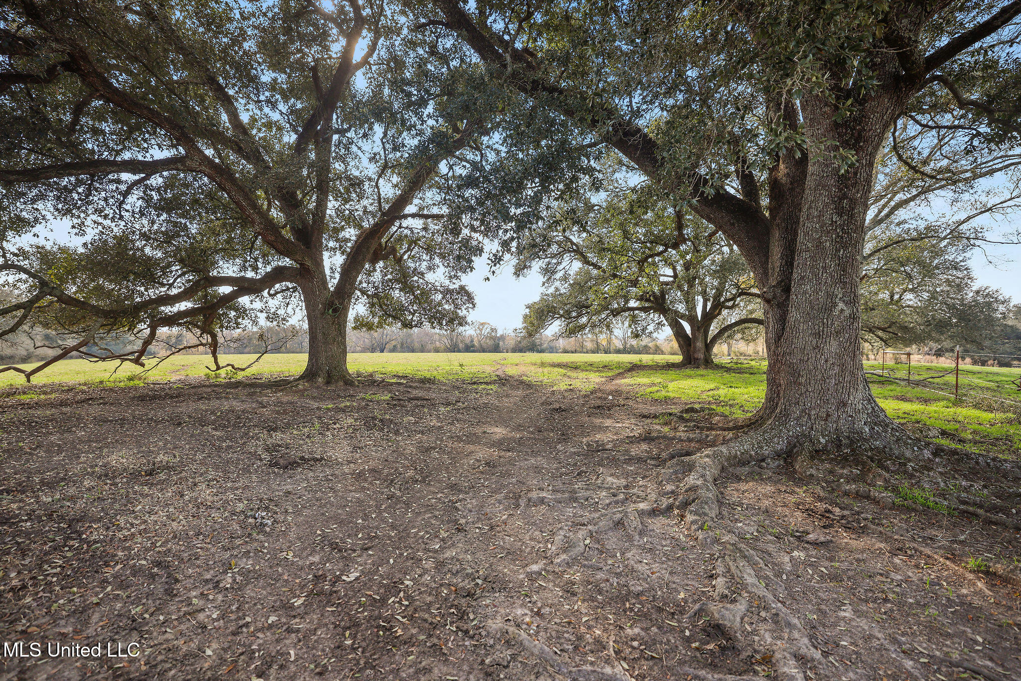255 J P Thomas Road Property Photo 4