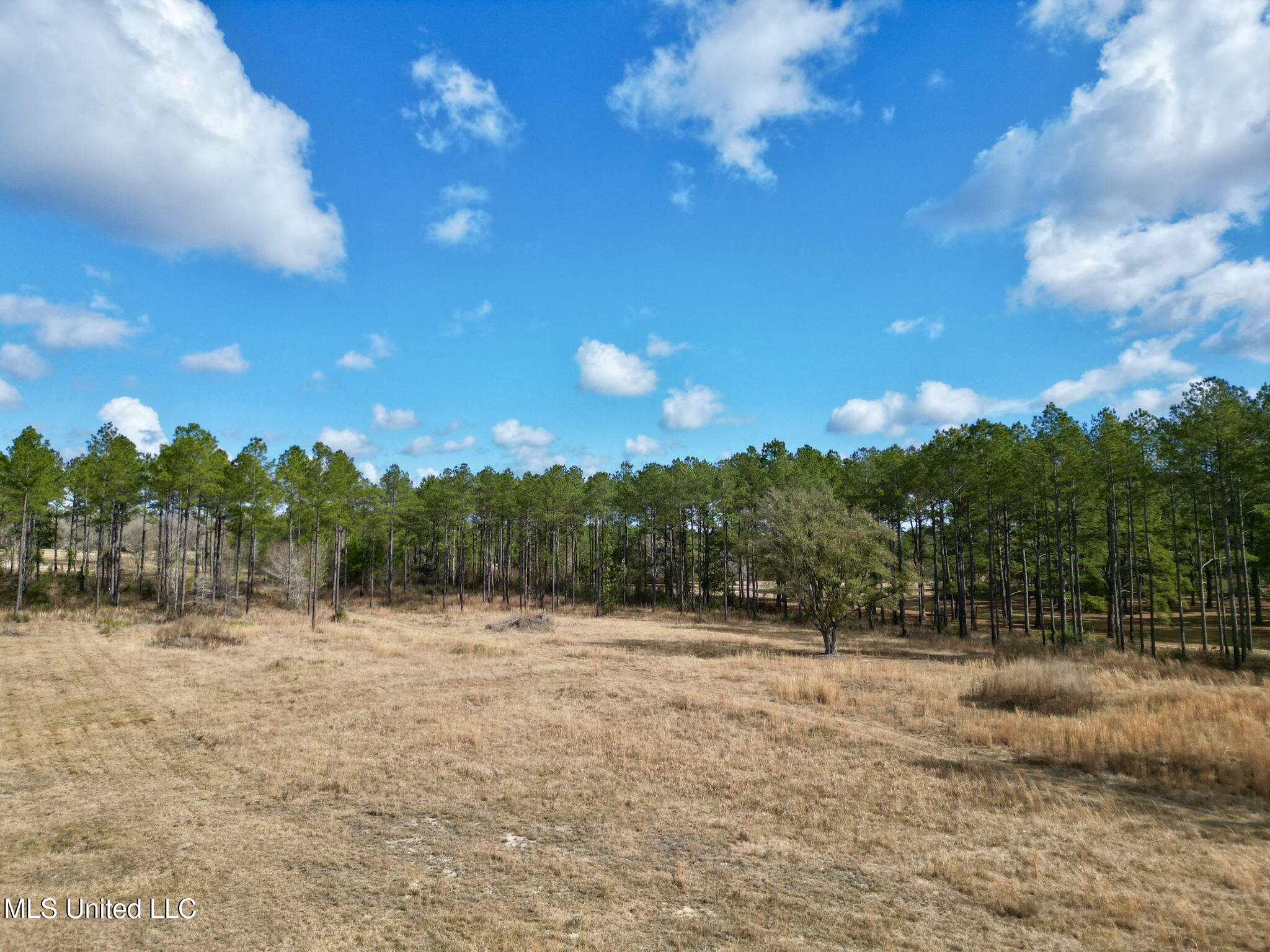 35 Thompson Lane Property Photo 17