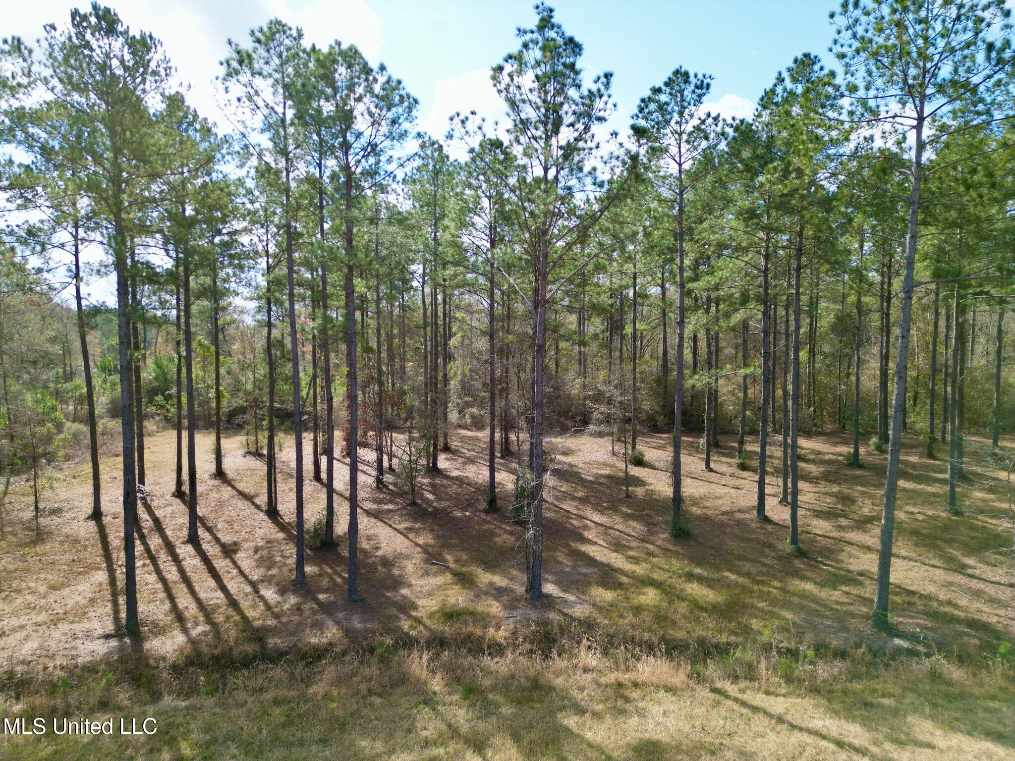35 Thompson Lane Property Photo 22