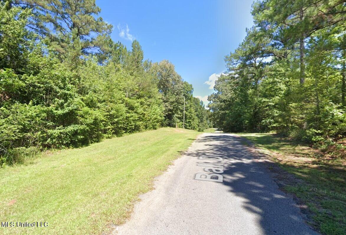 163 Ball Drive Property Photo 2