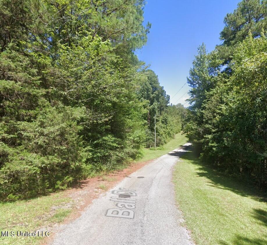 163 Ball Drive Property Photo 5