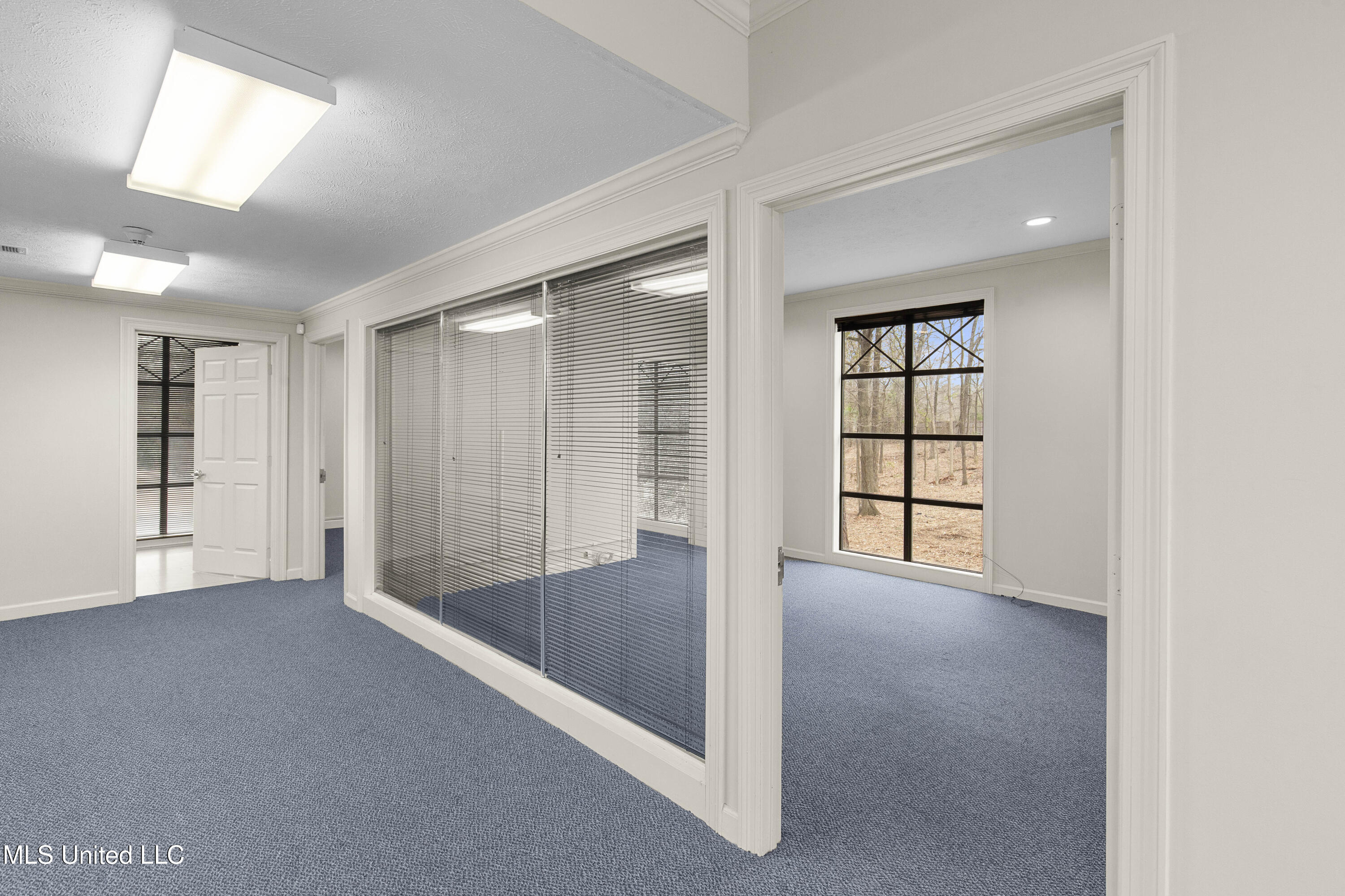 5760 Interstate 55 Property Photo 6