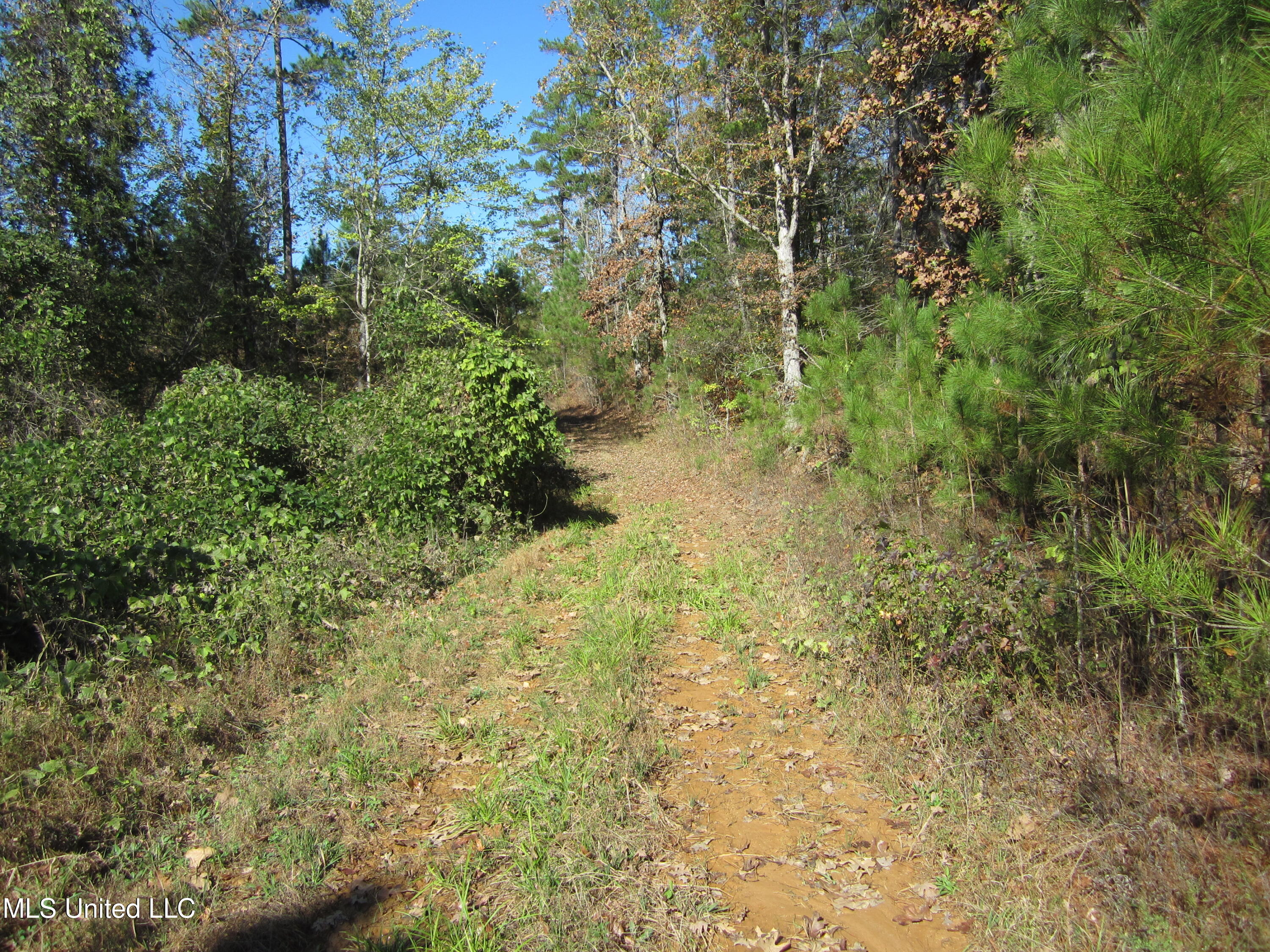 Cr 312 Property Photo 2