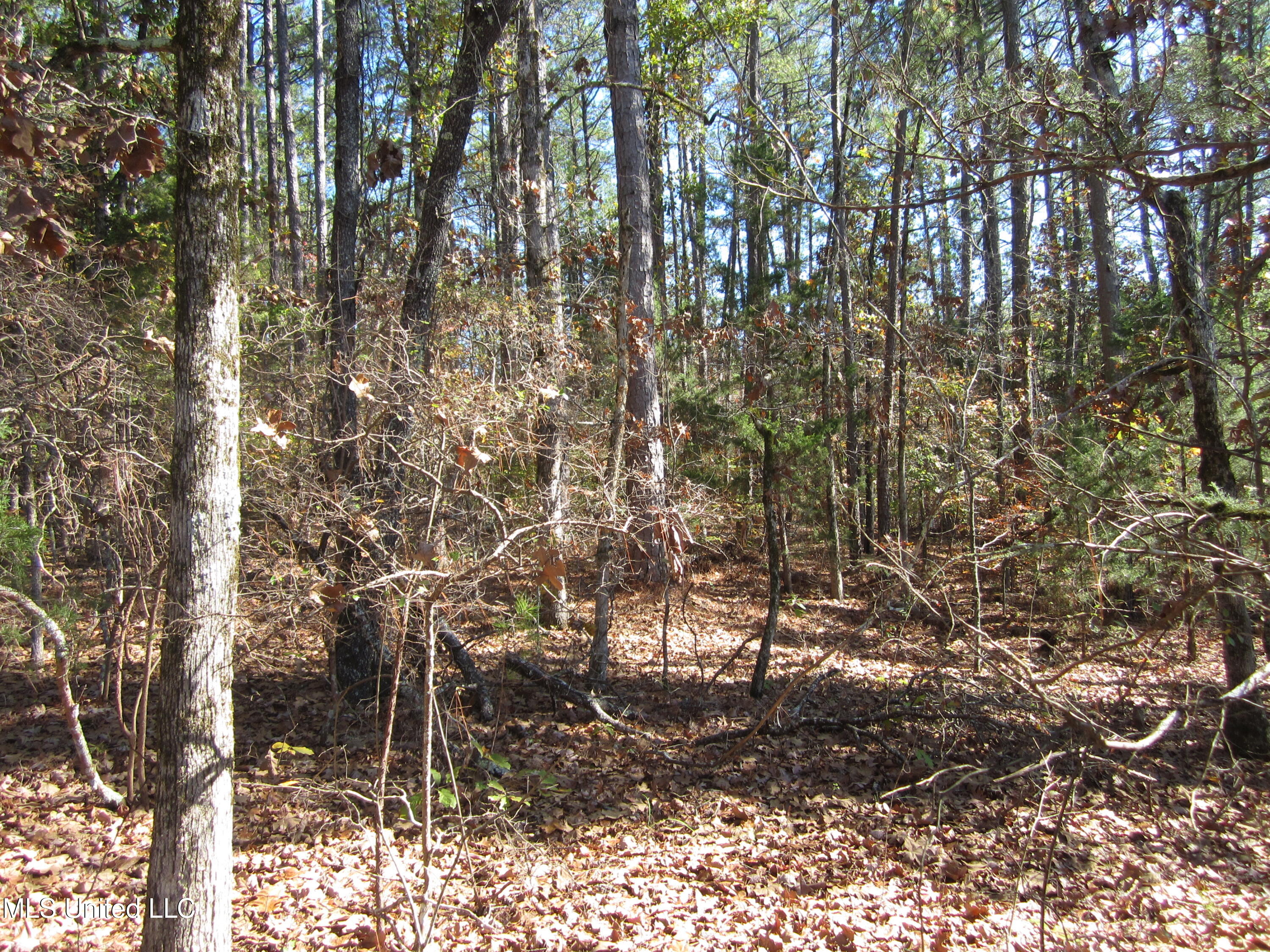 Cr 312 Property Photo 3
