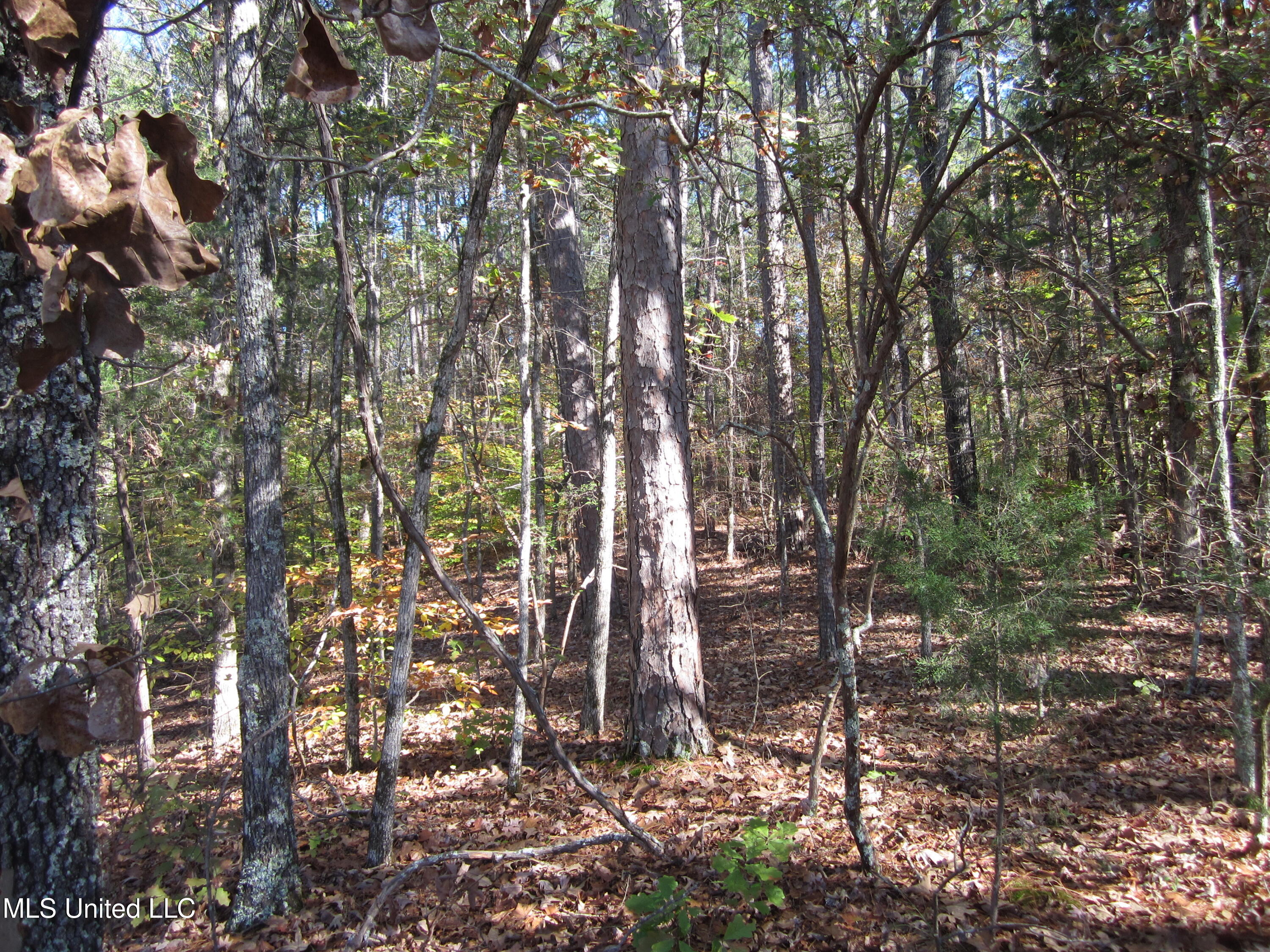 Cr 312 Property Photo 4