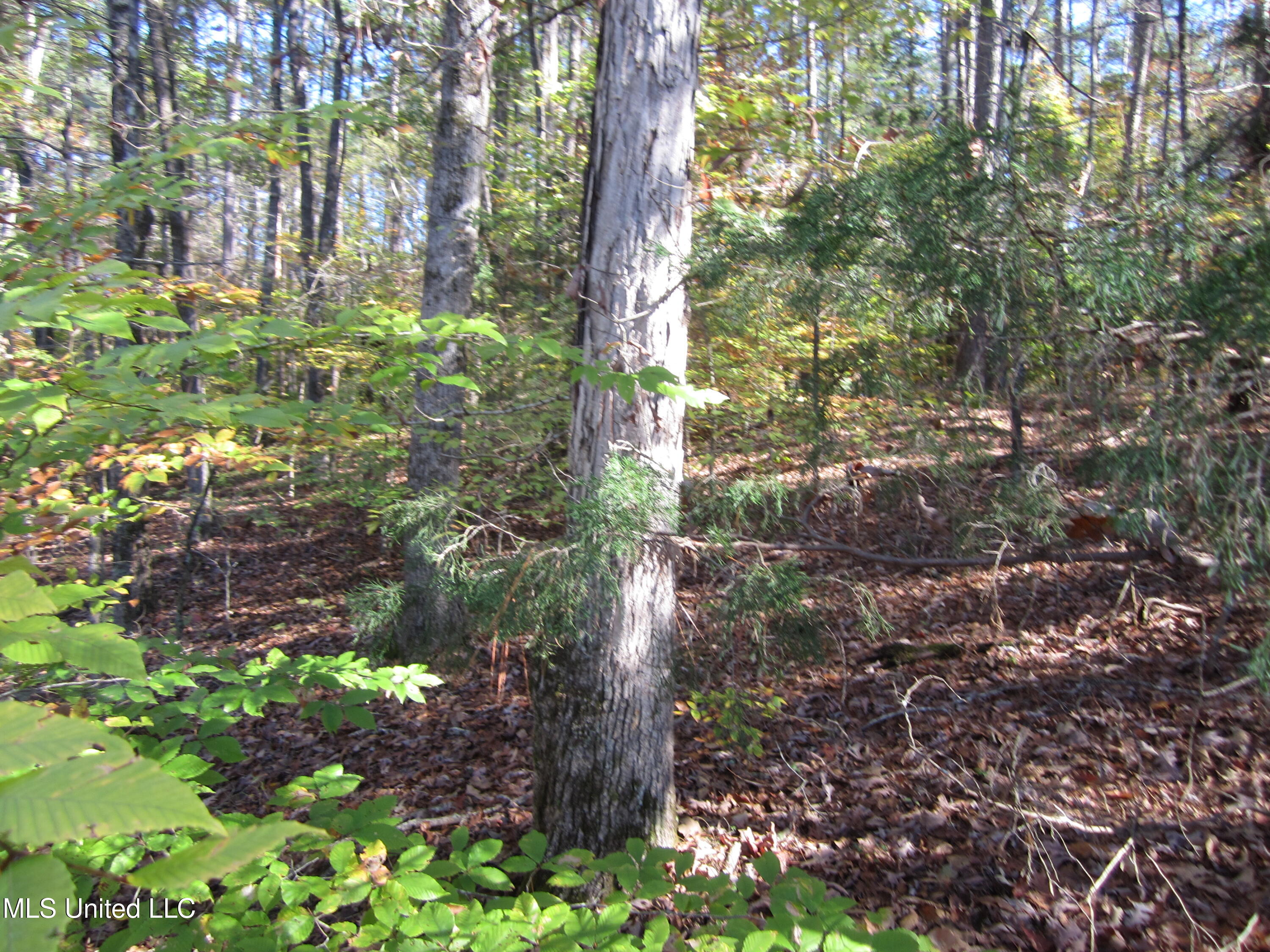 Cr 312 Property Photo 5