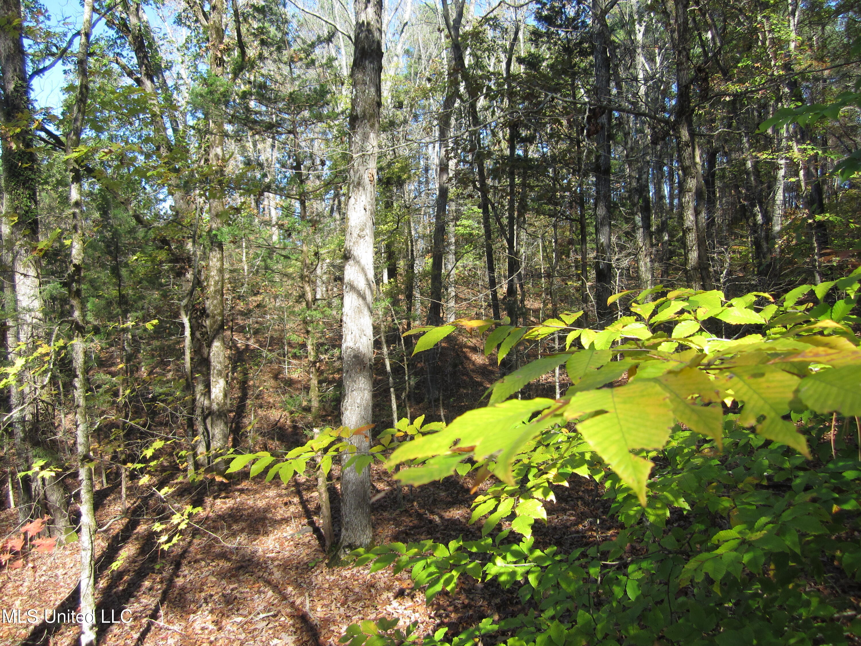 Cr 312 Property Photo 6