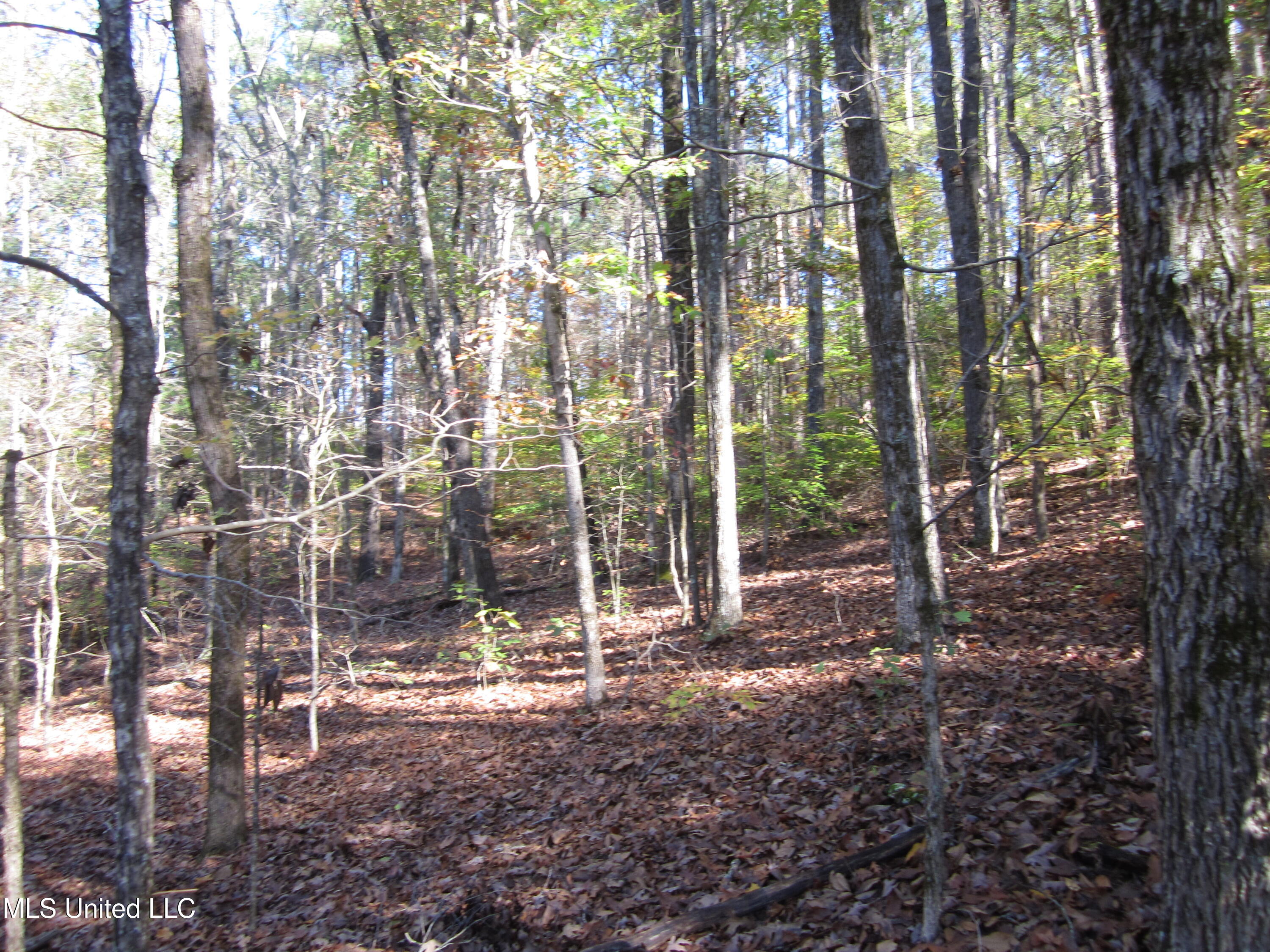 Cr 312 Property Photo 7