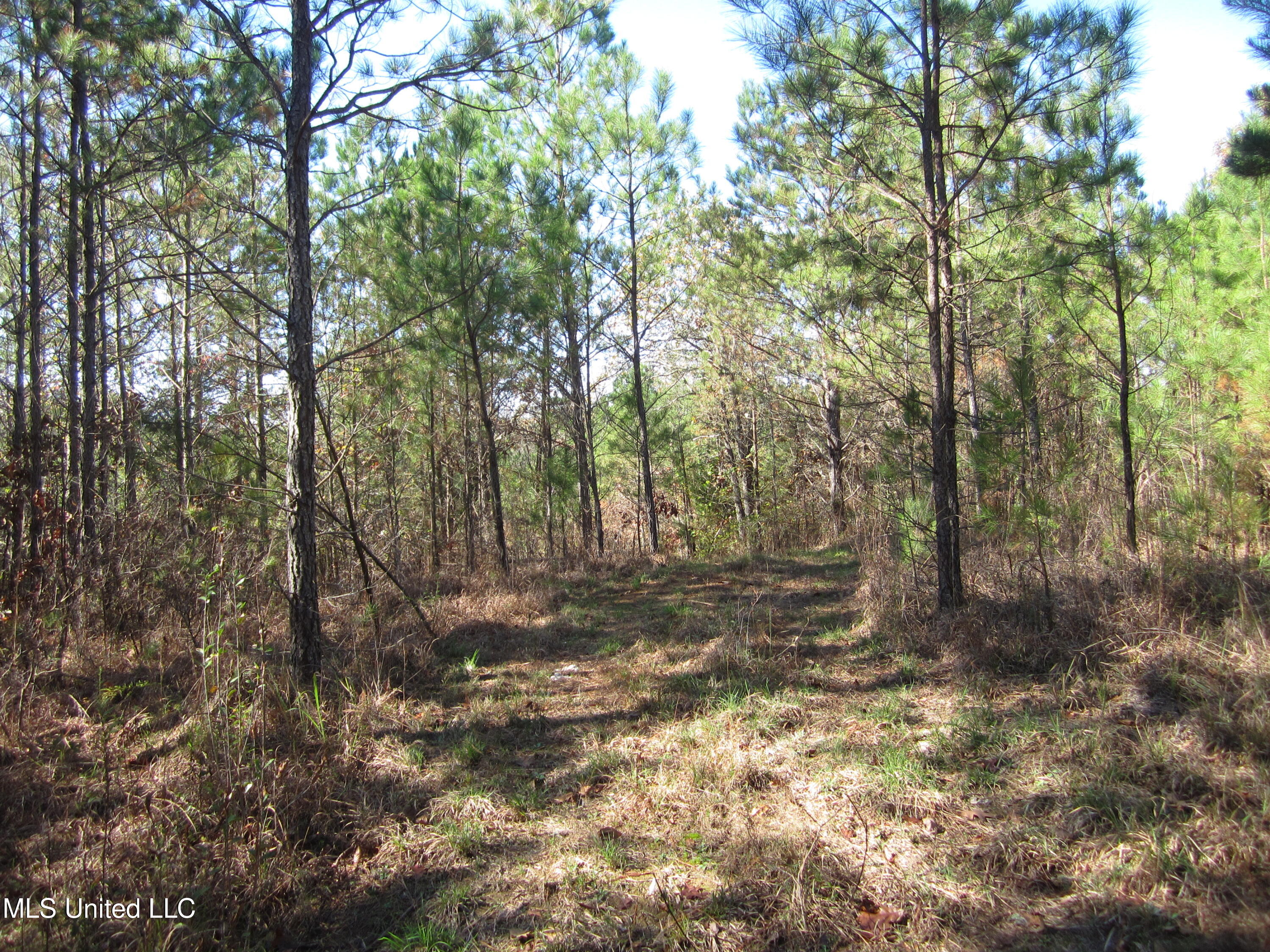 Cr 312 Property Photo 8