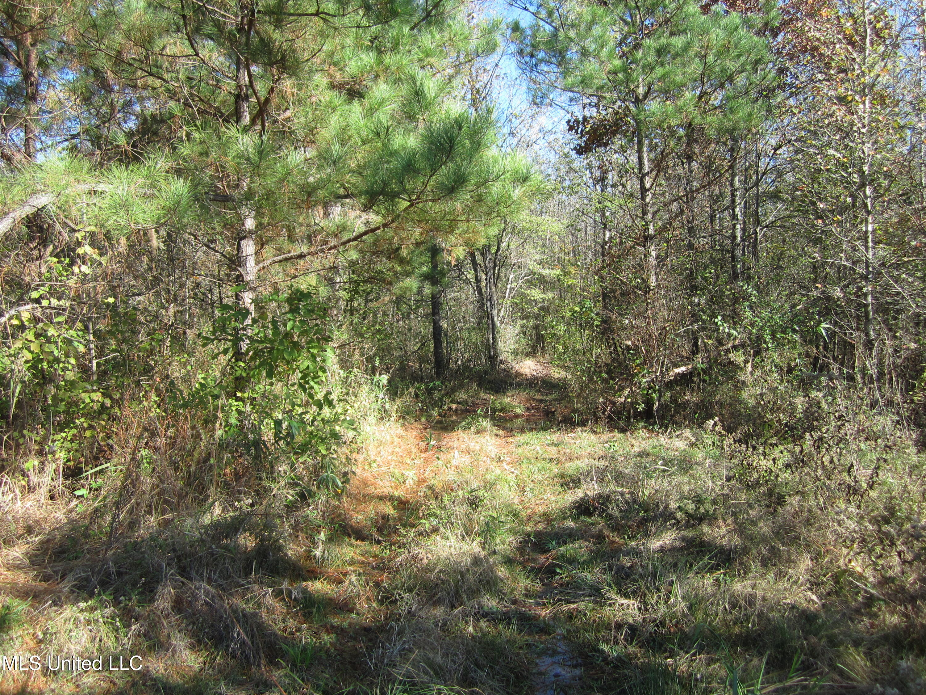 Cr 312 Property Photo 15
