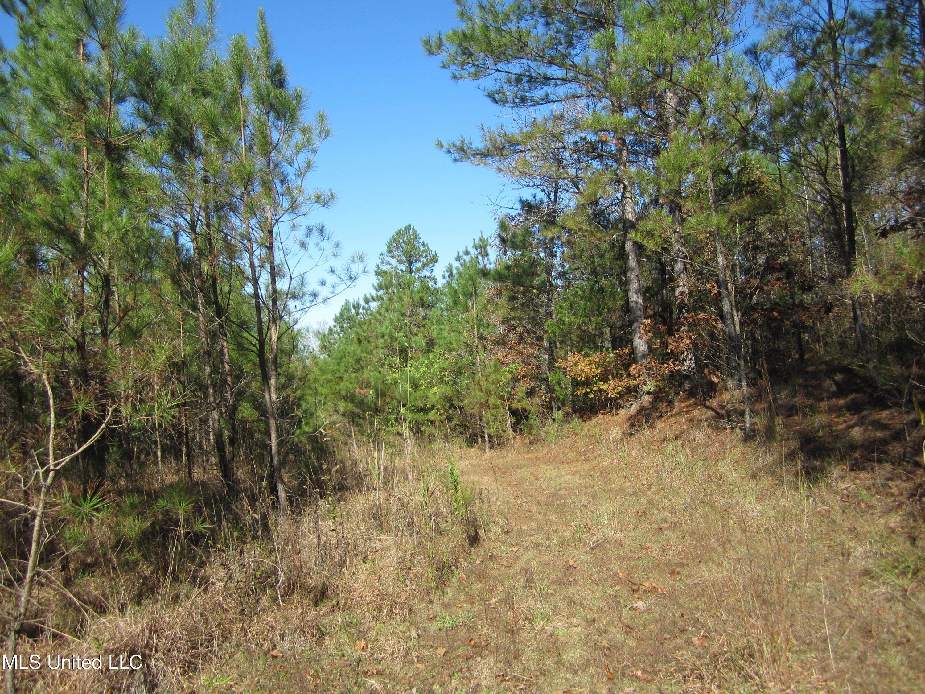 Cr 312 Property Photo 9