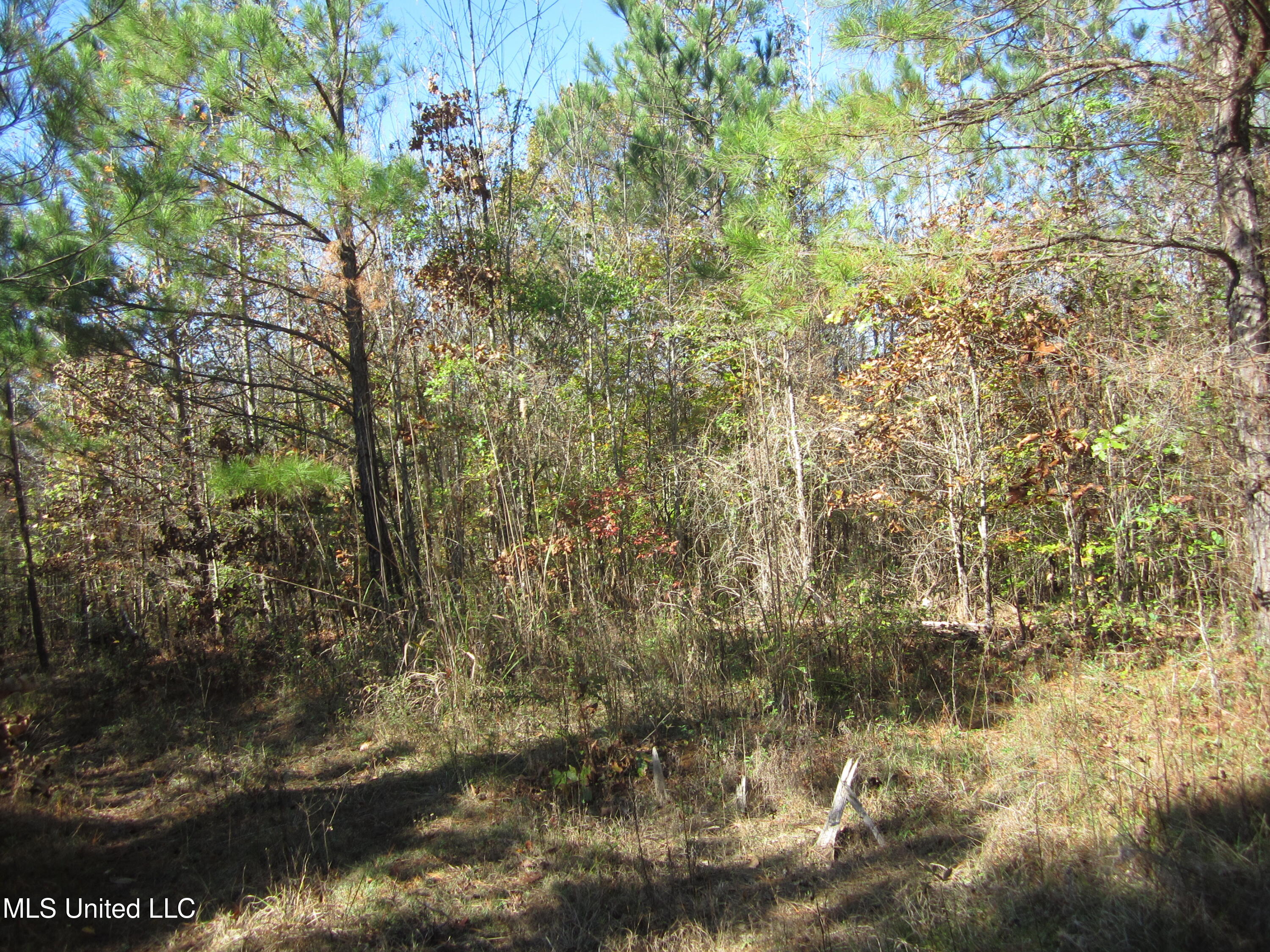 Cr 312 Property Photo 10