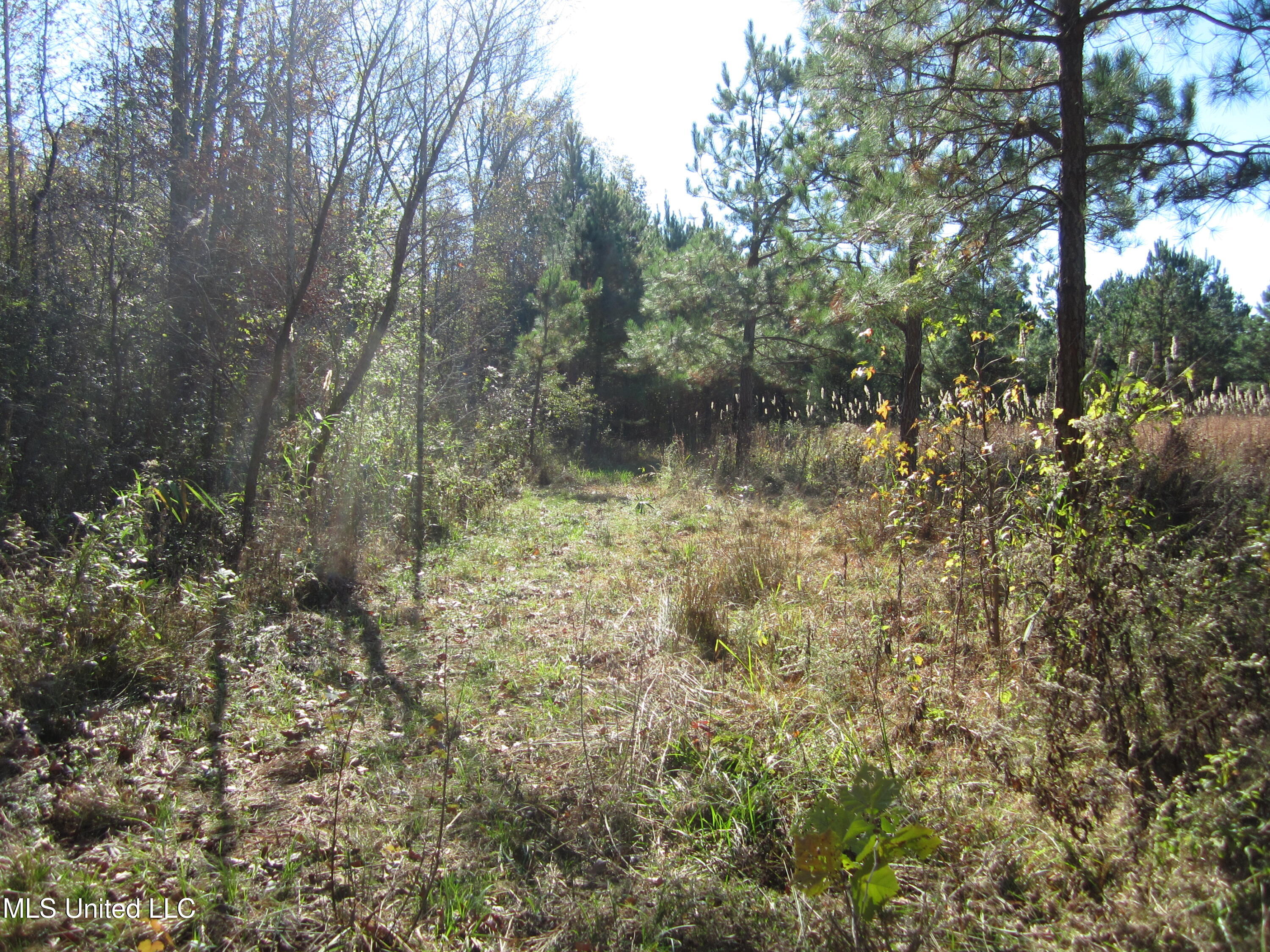 Cr 312 Property Photo 11