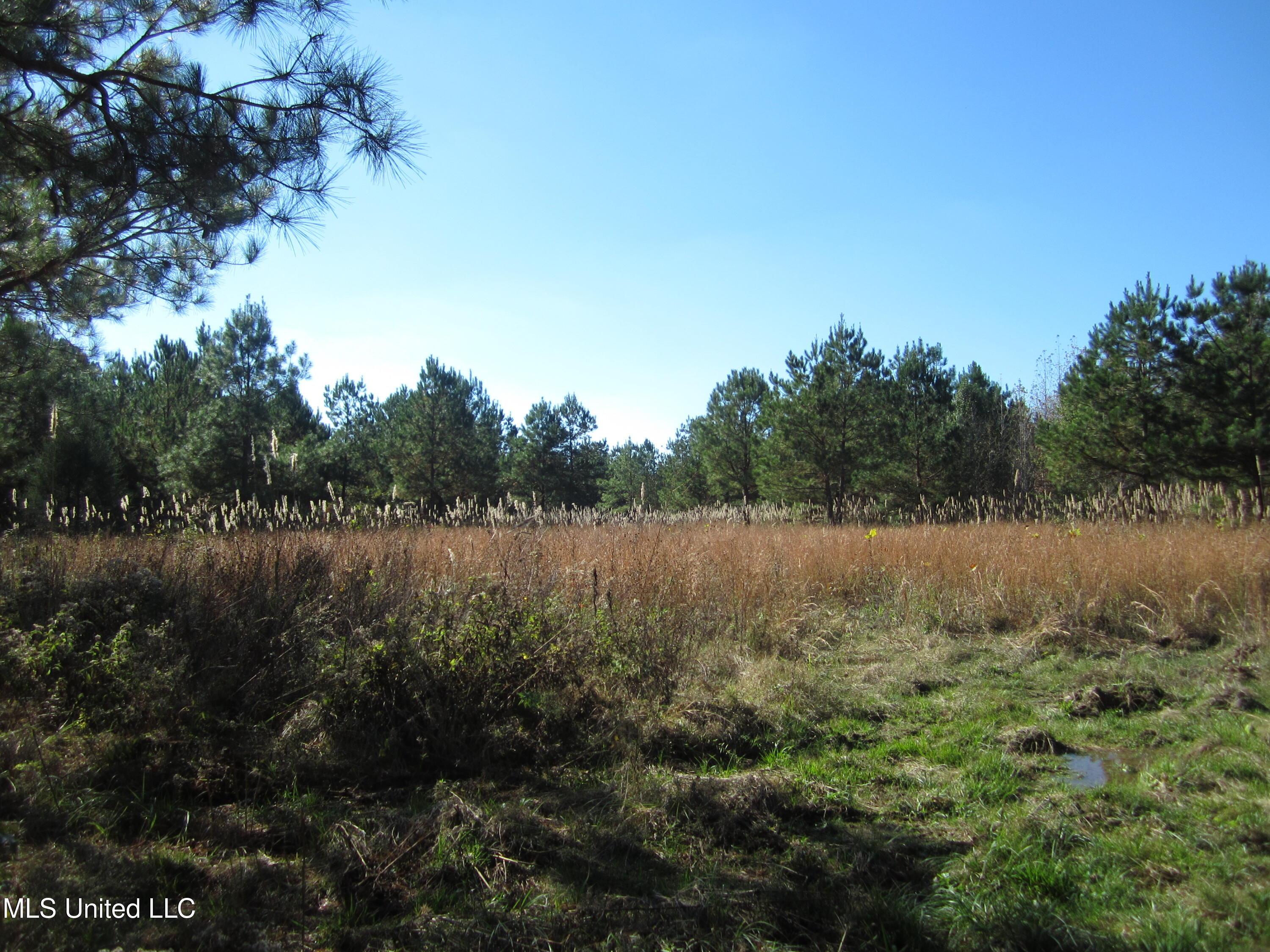 Cr 312 Property Photo 12