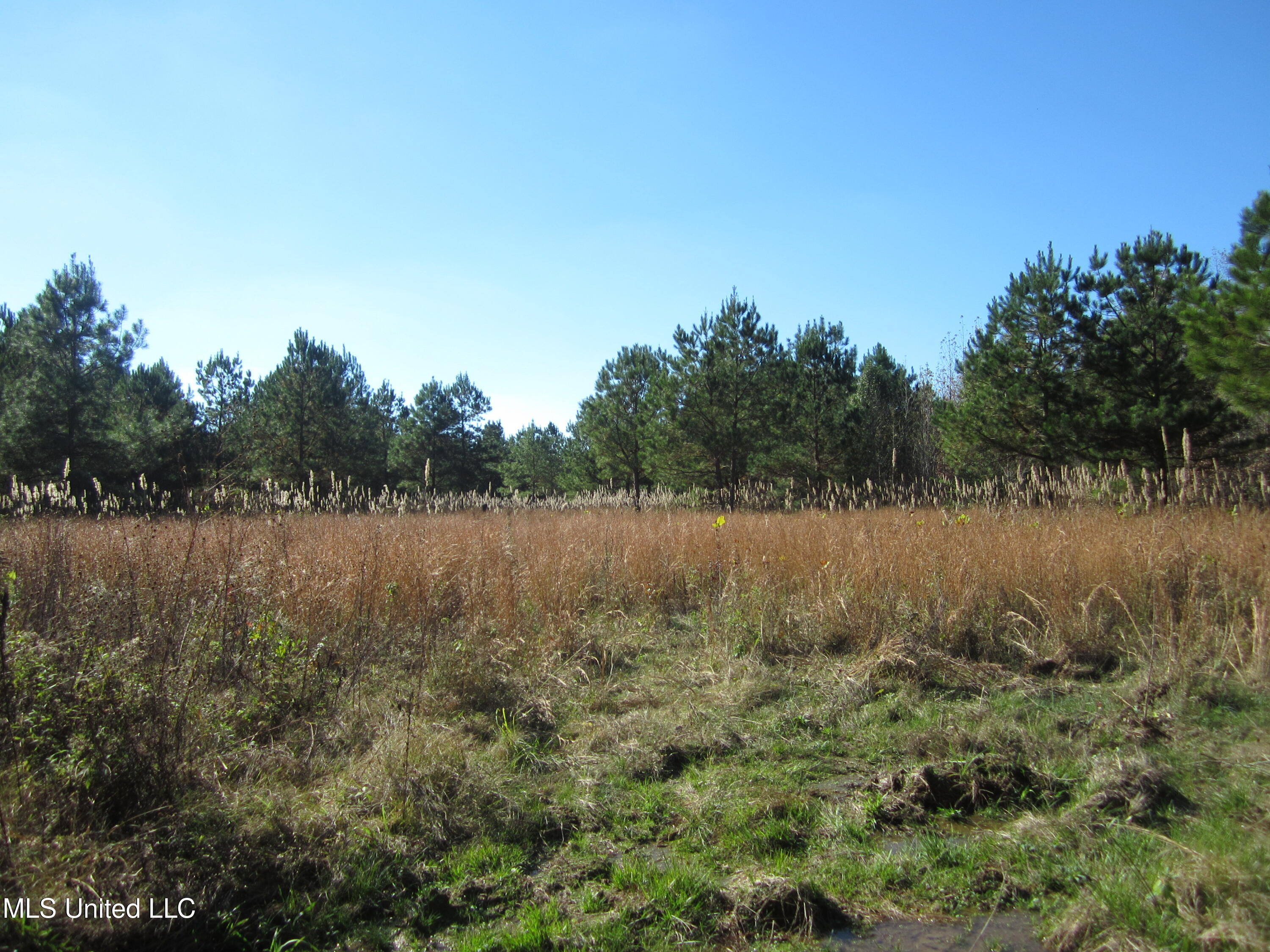 Cr 312 Property Photo 13