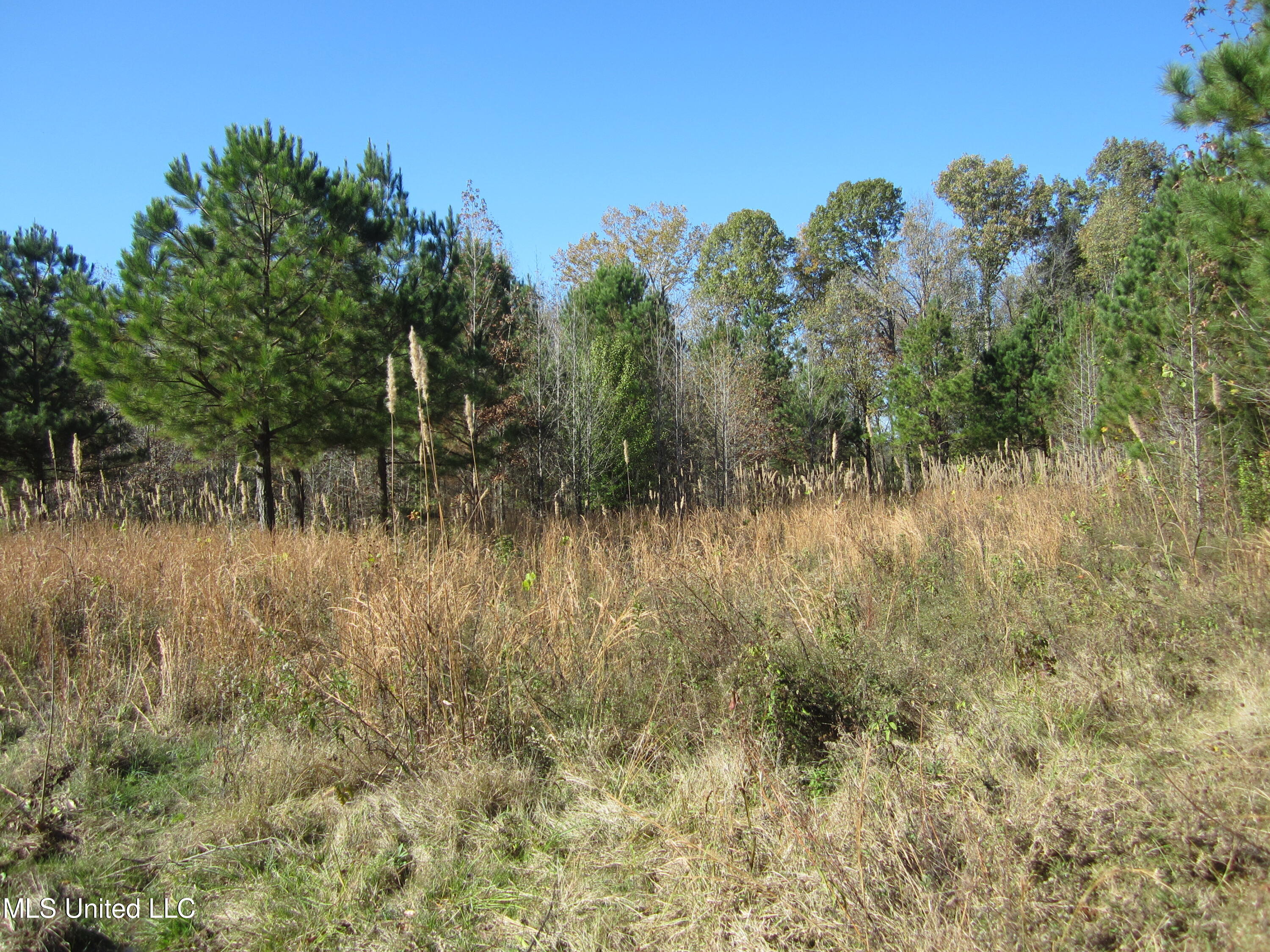 Cr 312 Property Photo 14