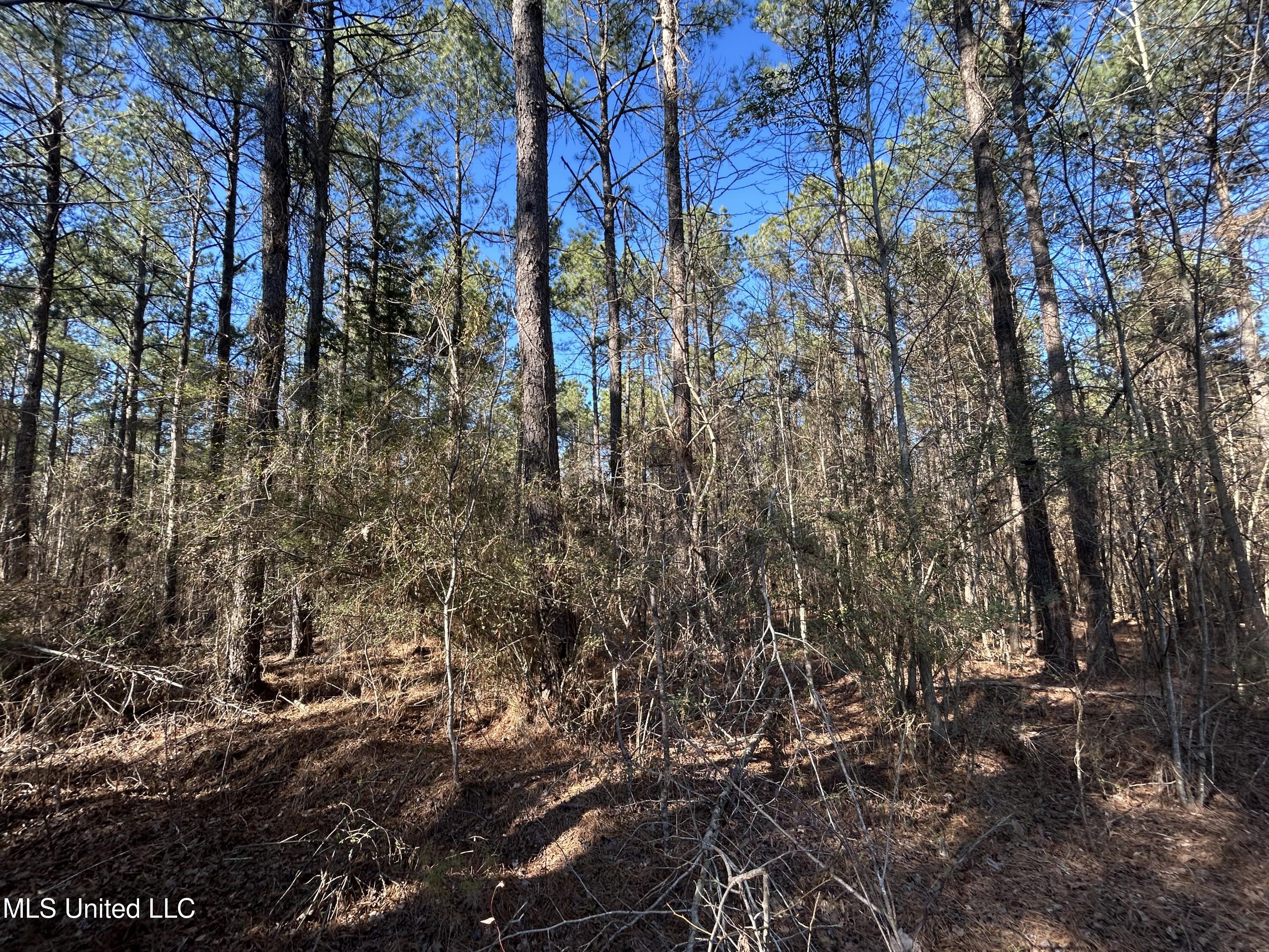 759 Shuqualak Road Property Photo 51