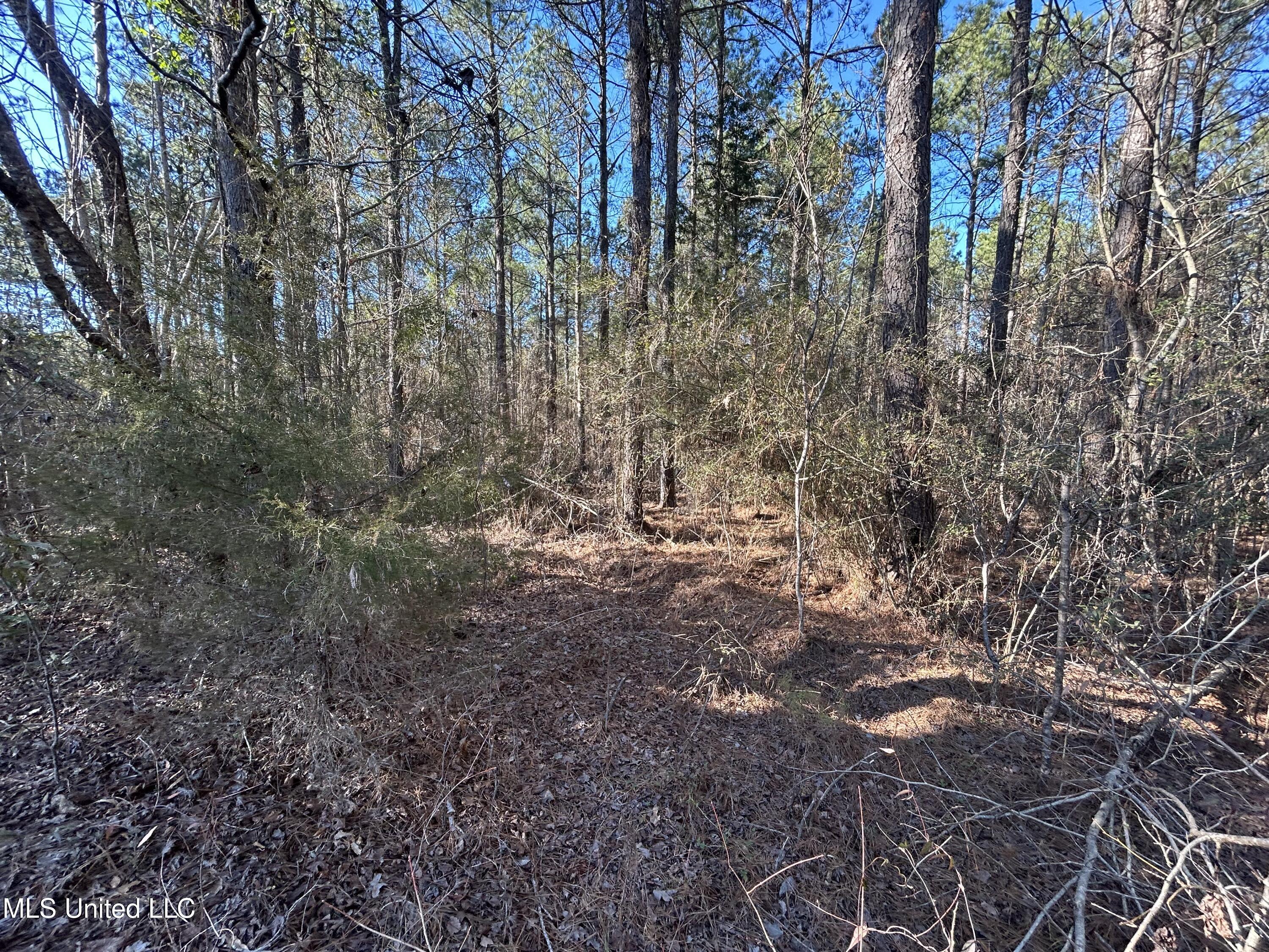 759 Shuqualak Road Property Photo 52