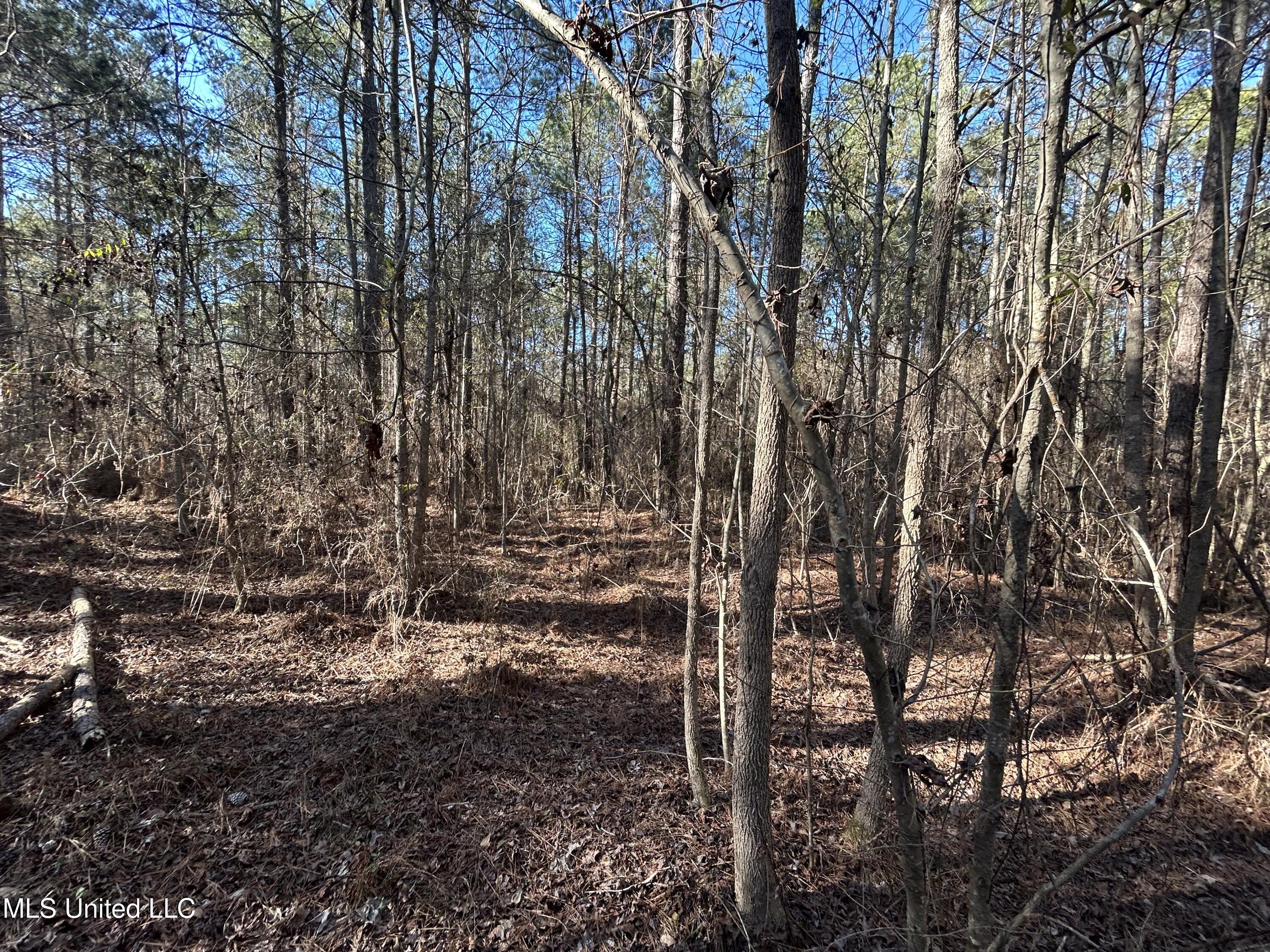 759 Shuqualak Road Property Photo 54
