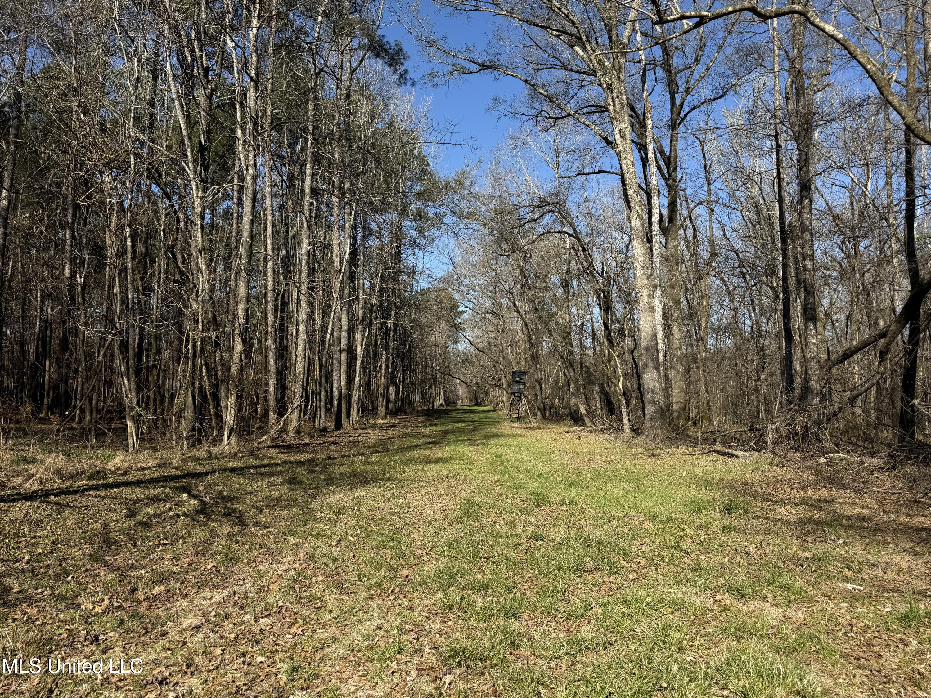 114 Huff Lane Property Photo 44