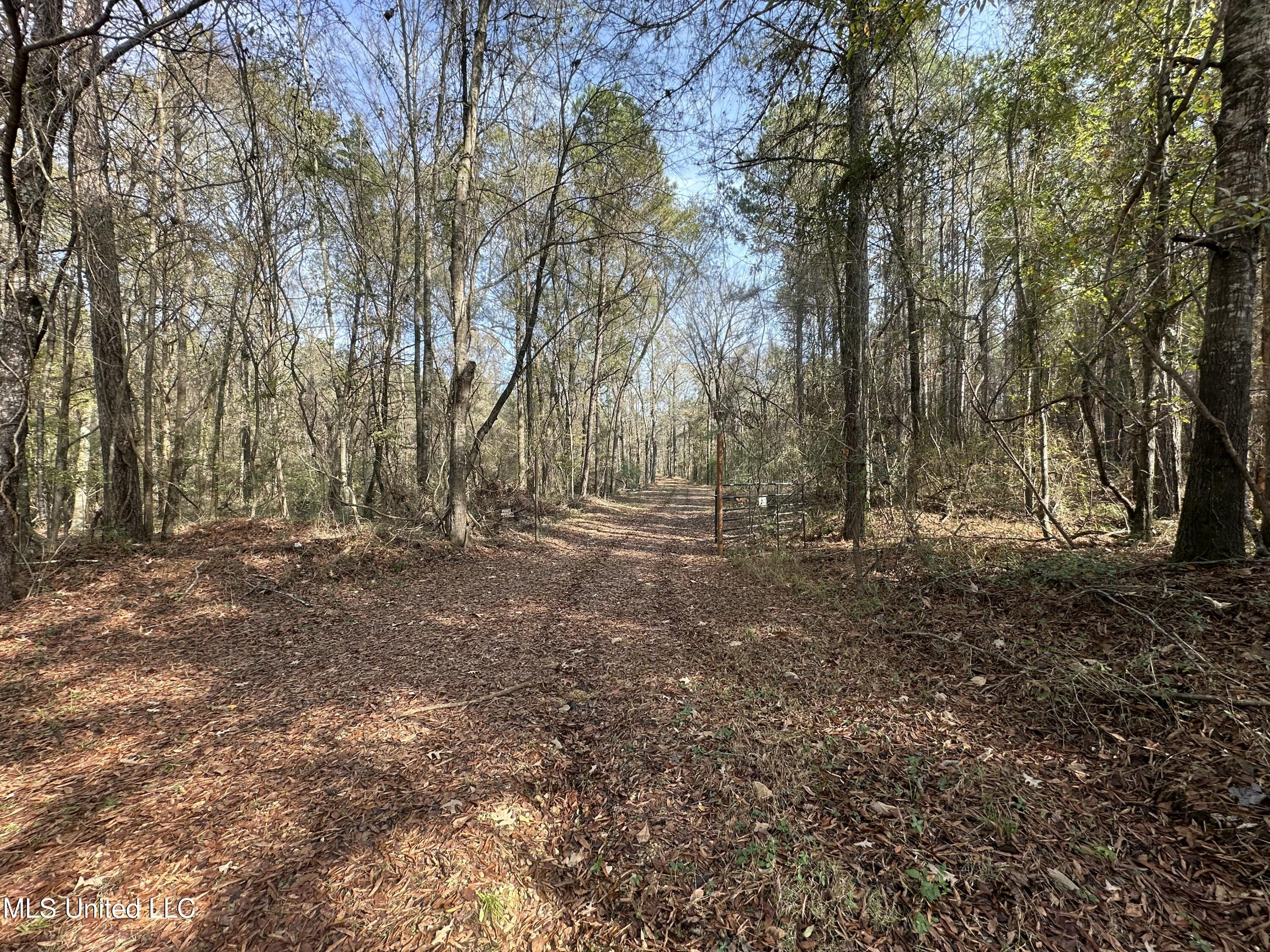 Lot 2 Whiddon Road Property Photo 6