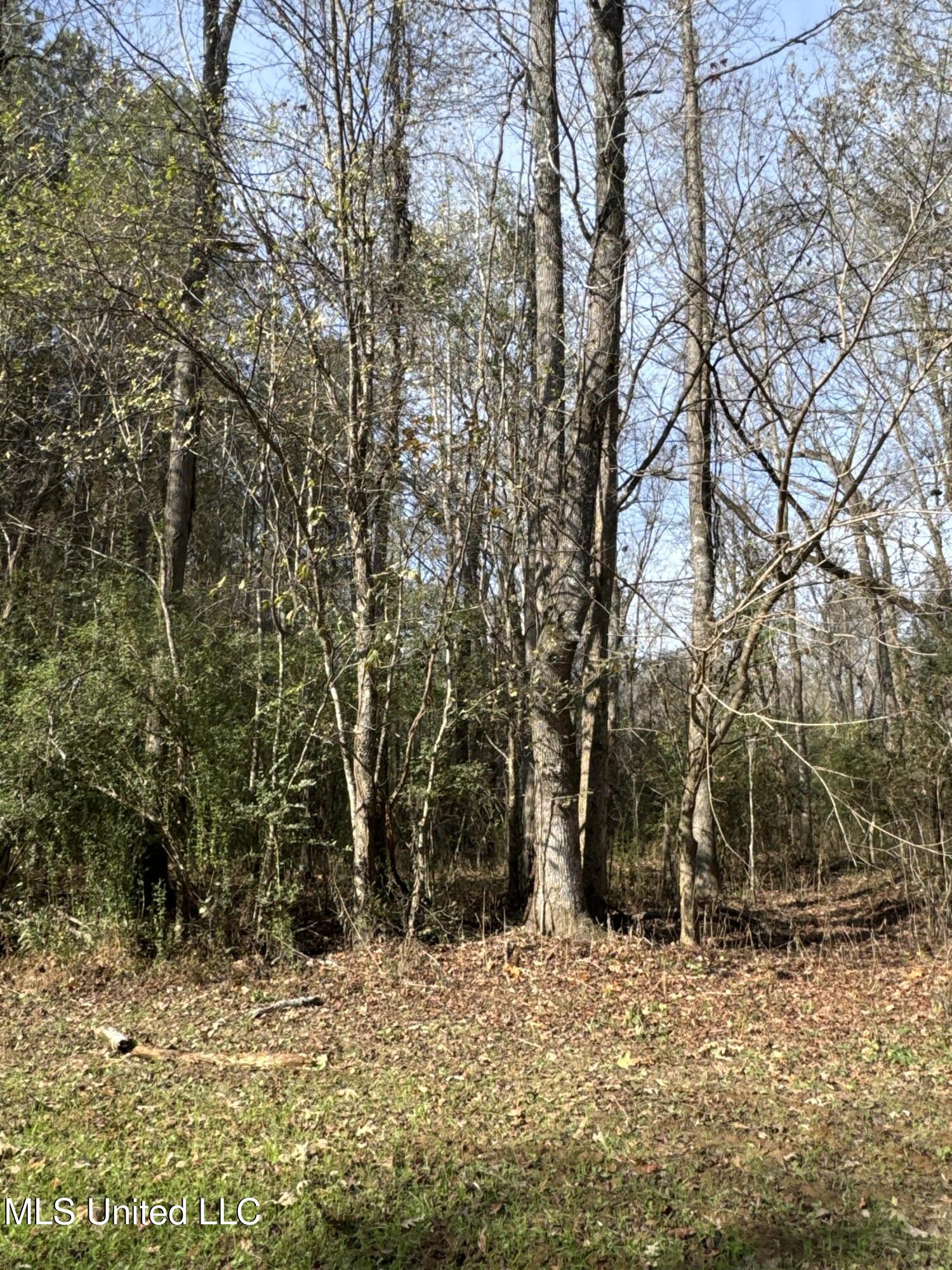 Lot 2 Whiddon Road Property Photo 11