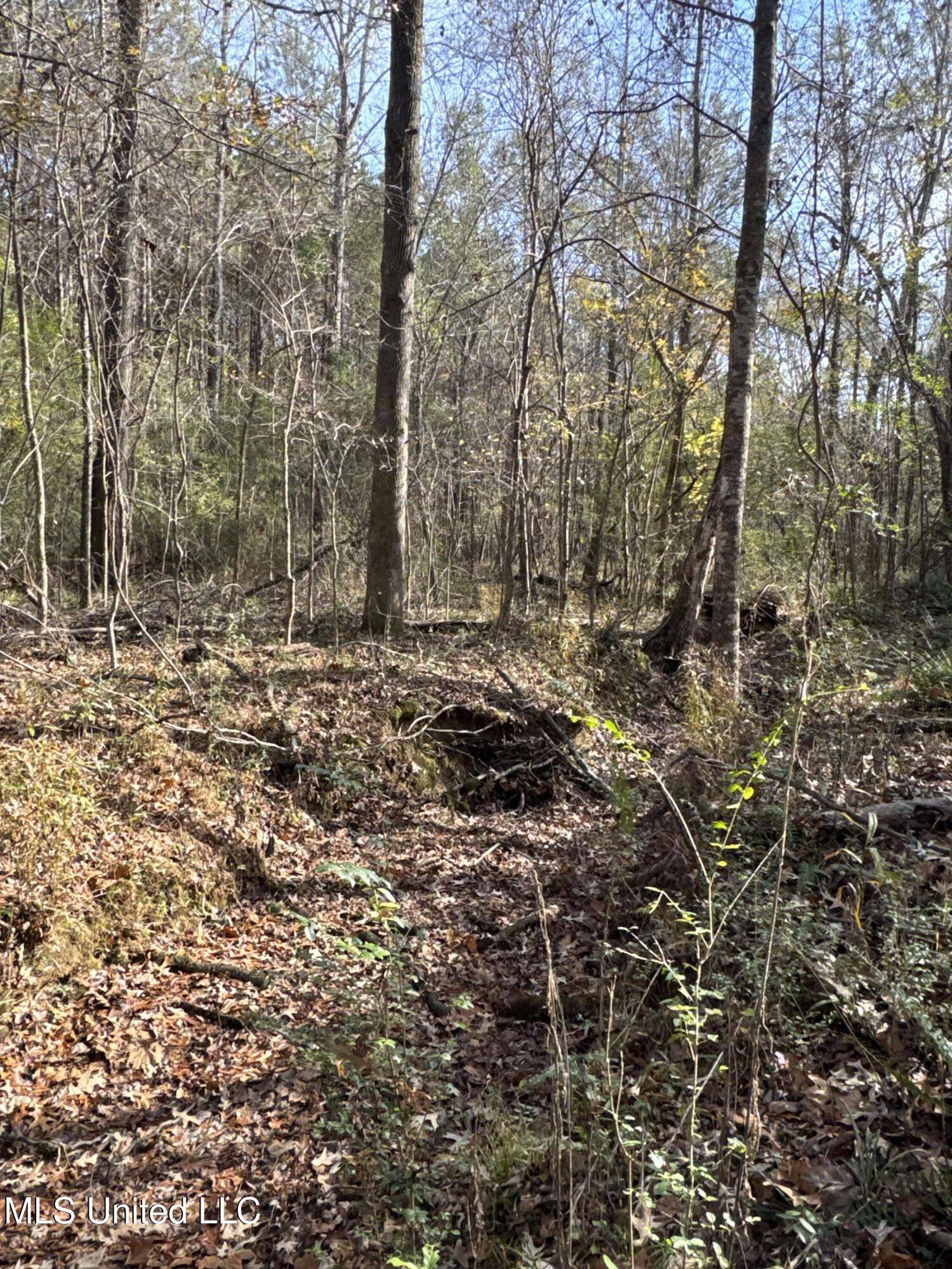 Lot 2 Whiddon Road Property Photo 12