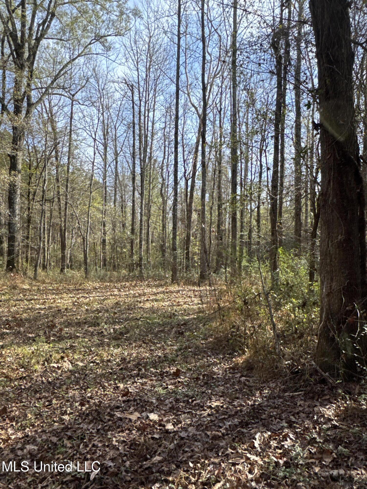Lot 2 Whiddon Road Property Photo 16