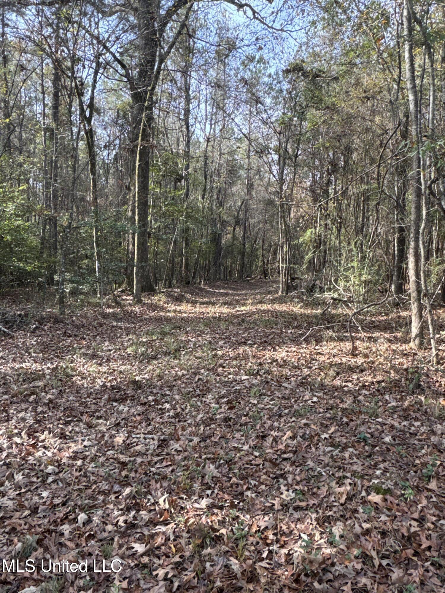 Lot 2 Whiddon Road Property Photo 17