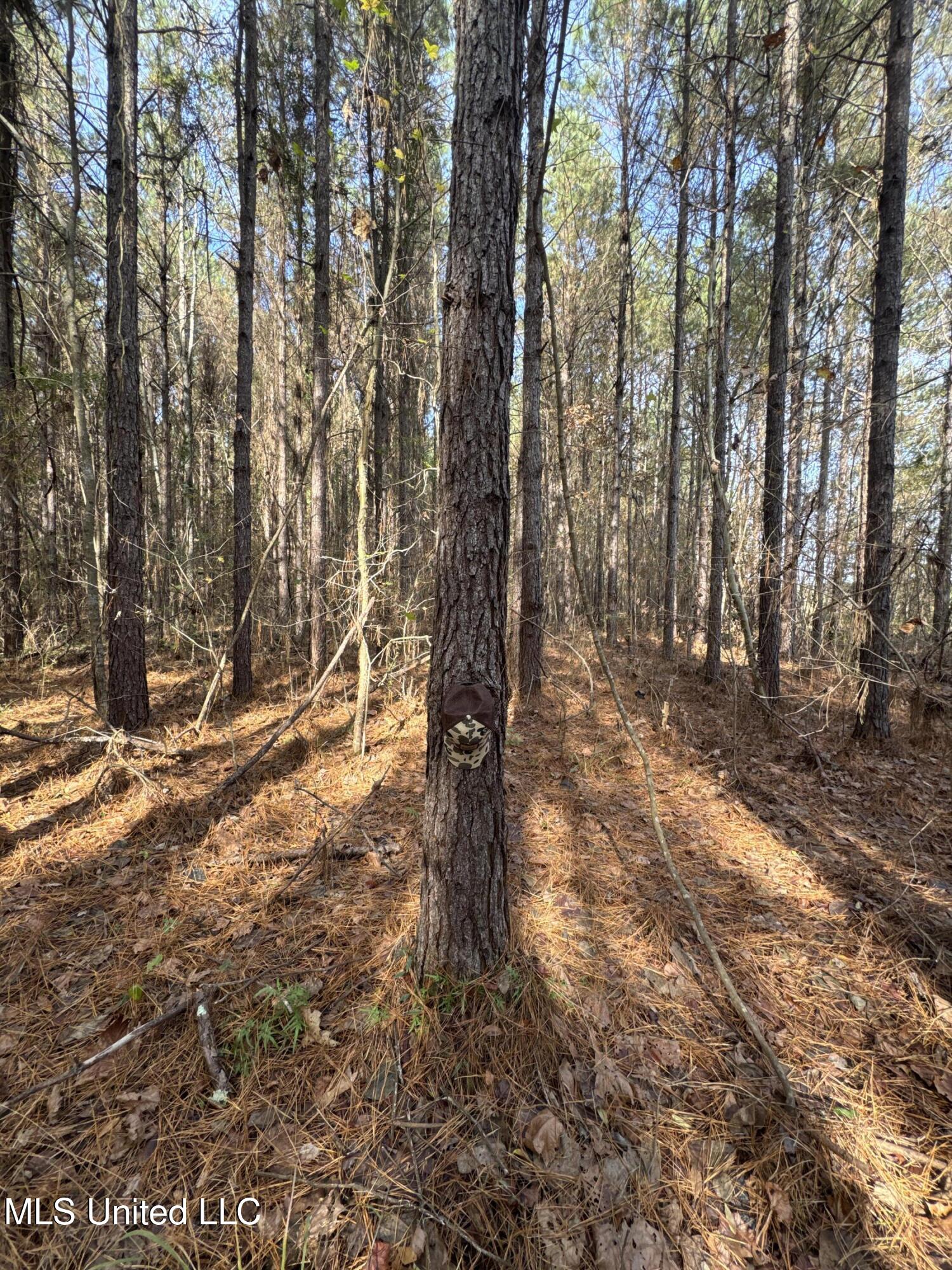 Lot 2 Whiddon Road Property Photo 19