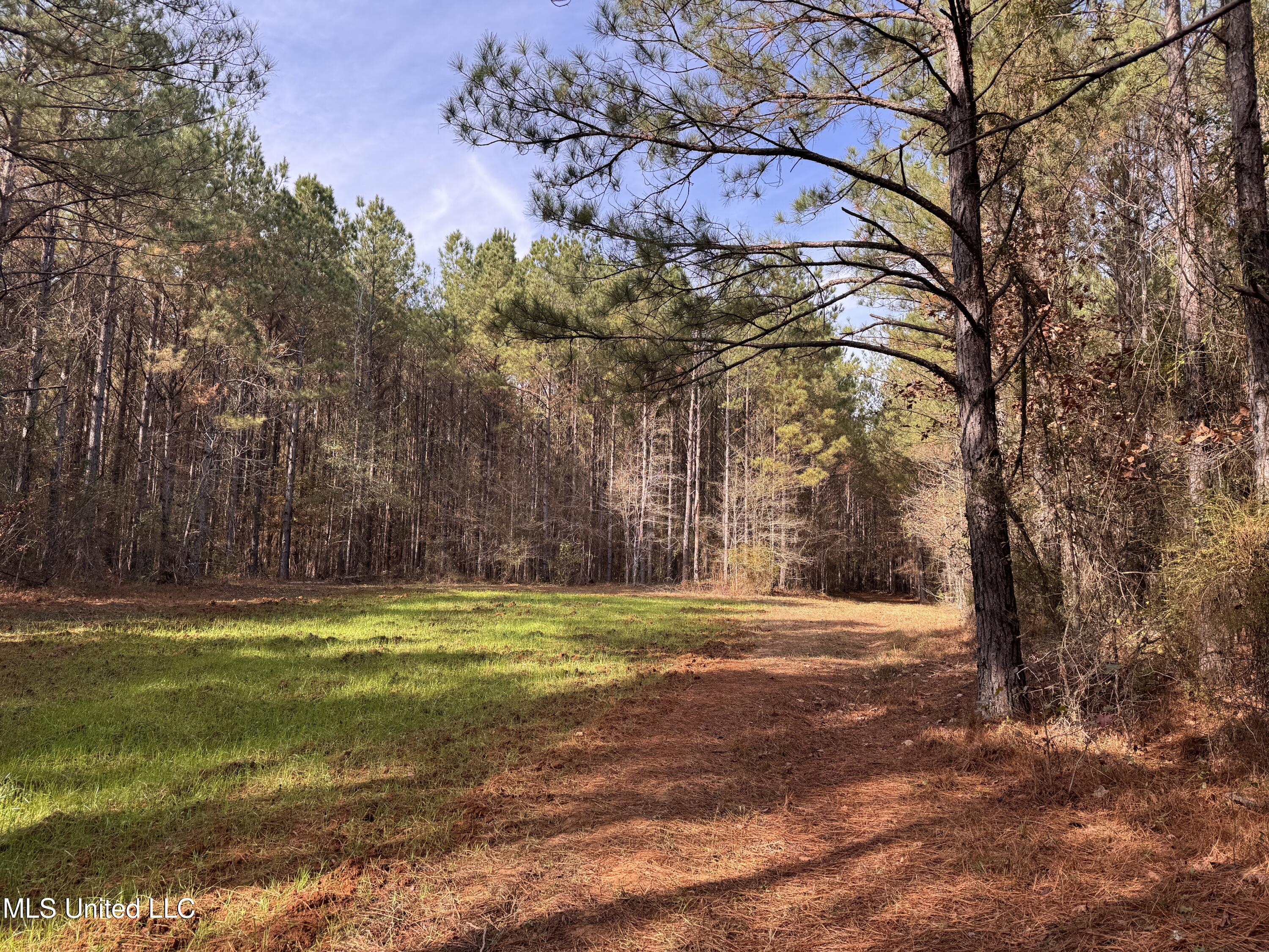 Lot 2 Whiddon Road Property Photo 26