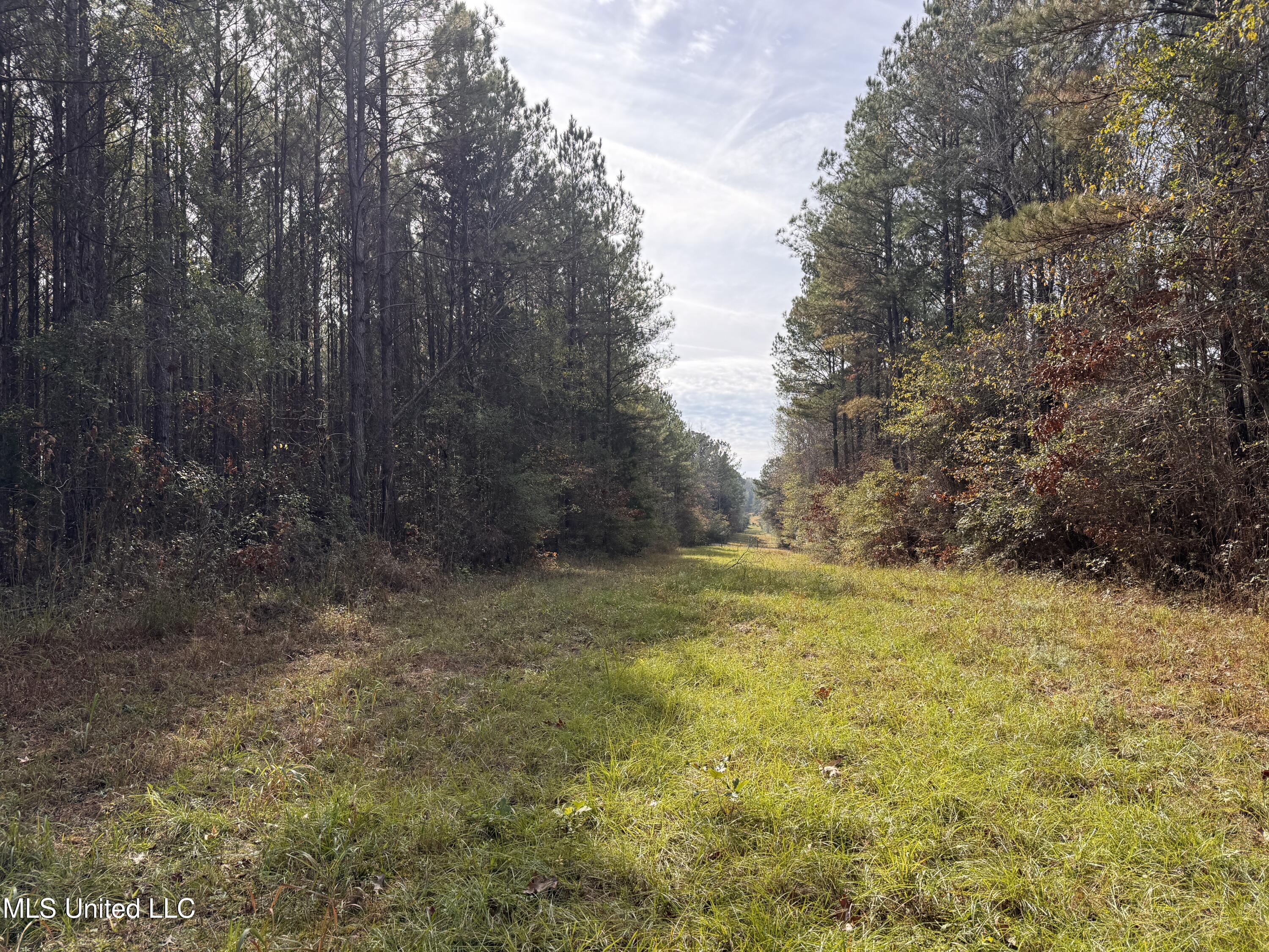 Lot 2 Whiddon Road Property Photo 33