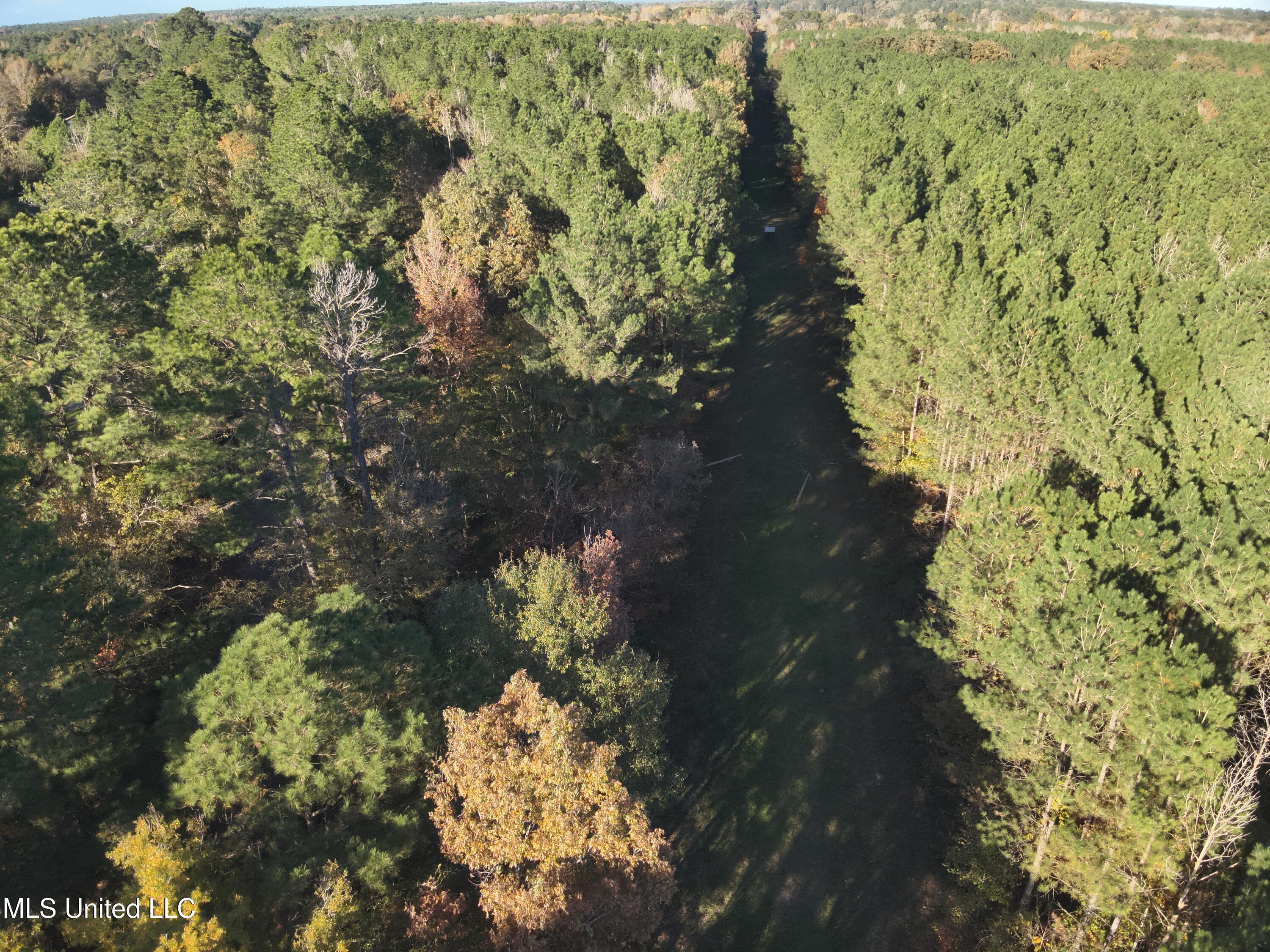Lot 2 Whiddon Road Property Photo 35