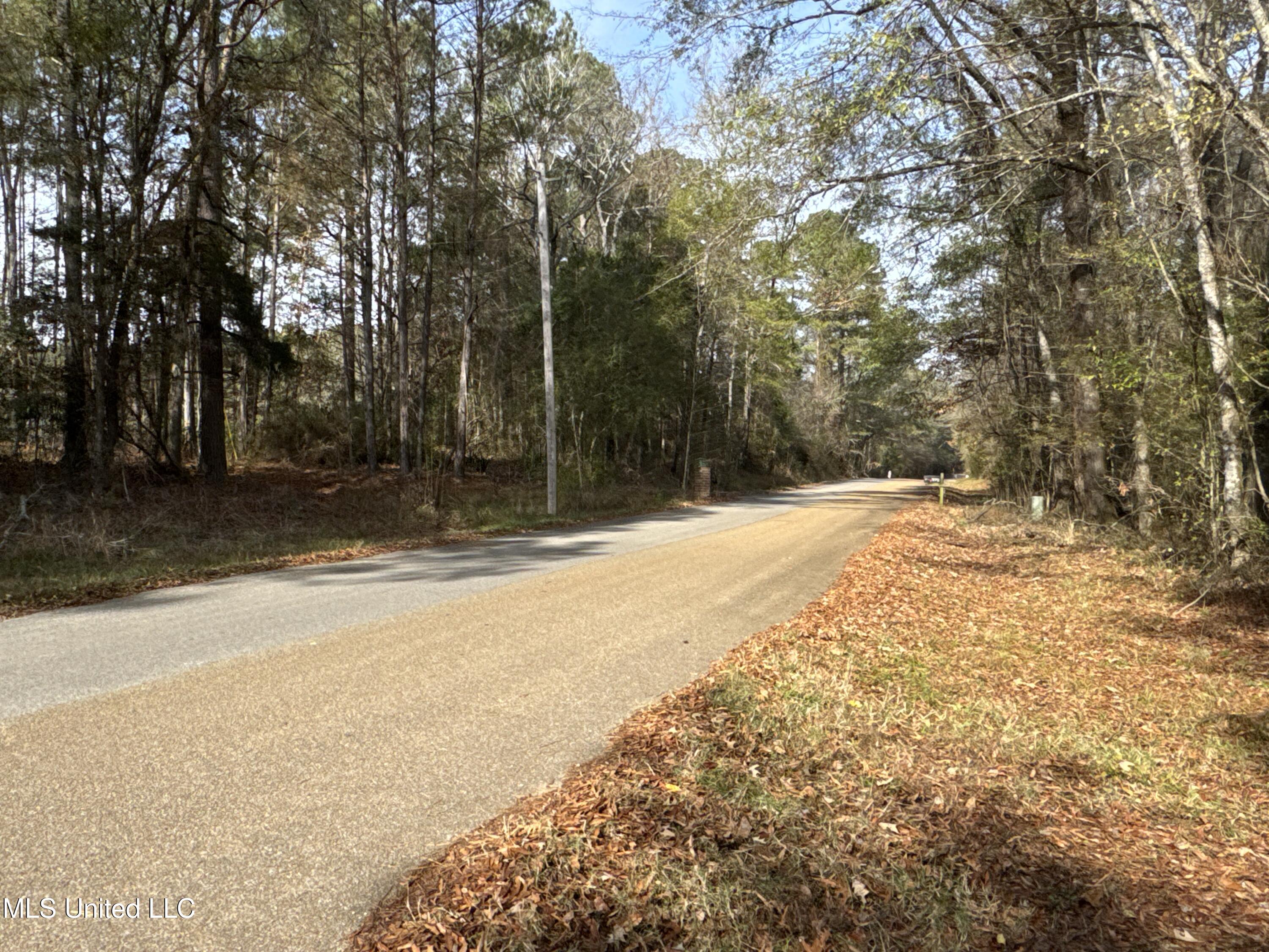 Lot 2 Whiddon Road Property Photo 46
